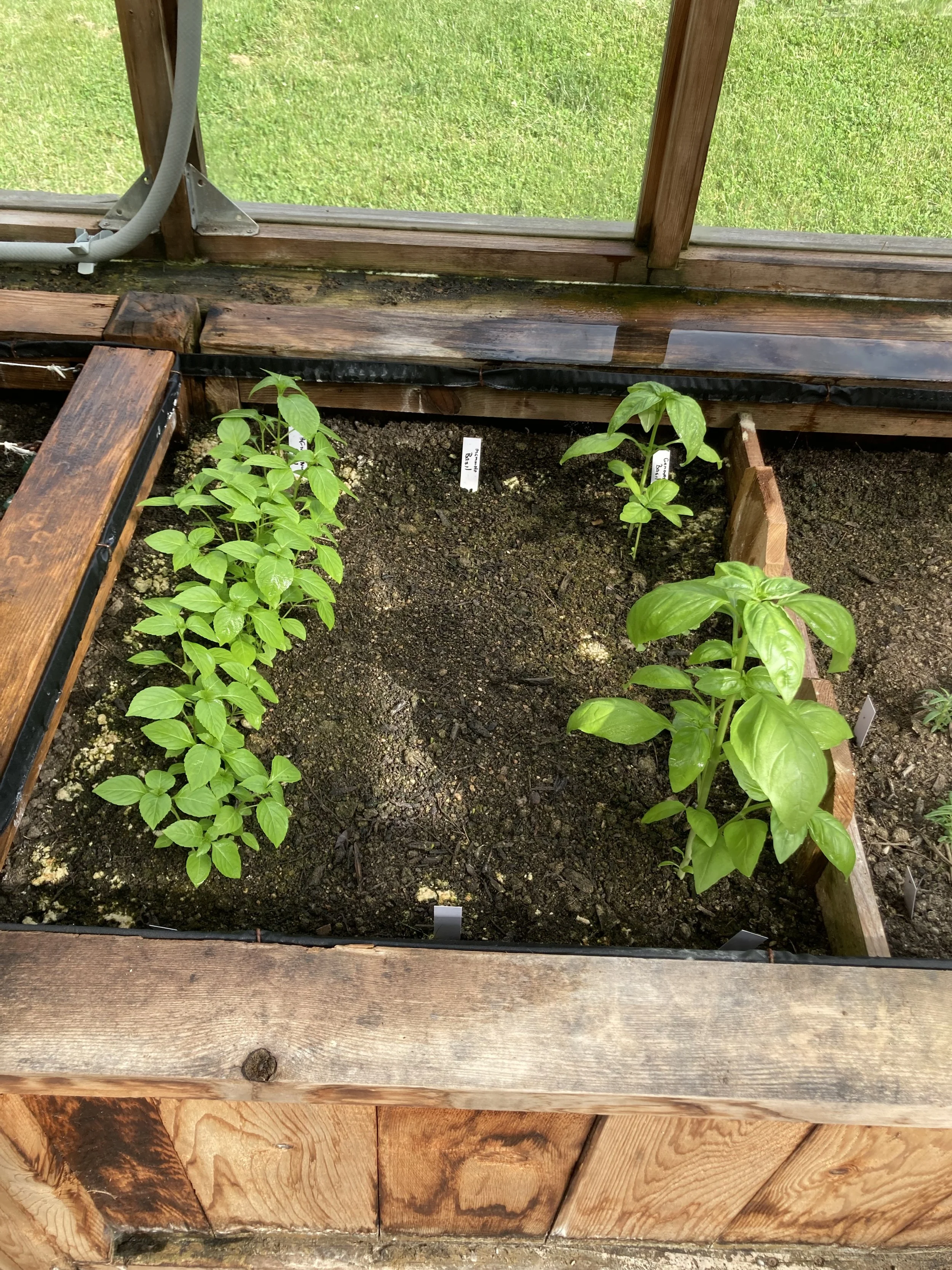 2024-05-18 16.54.52.jpg