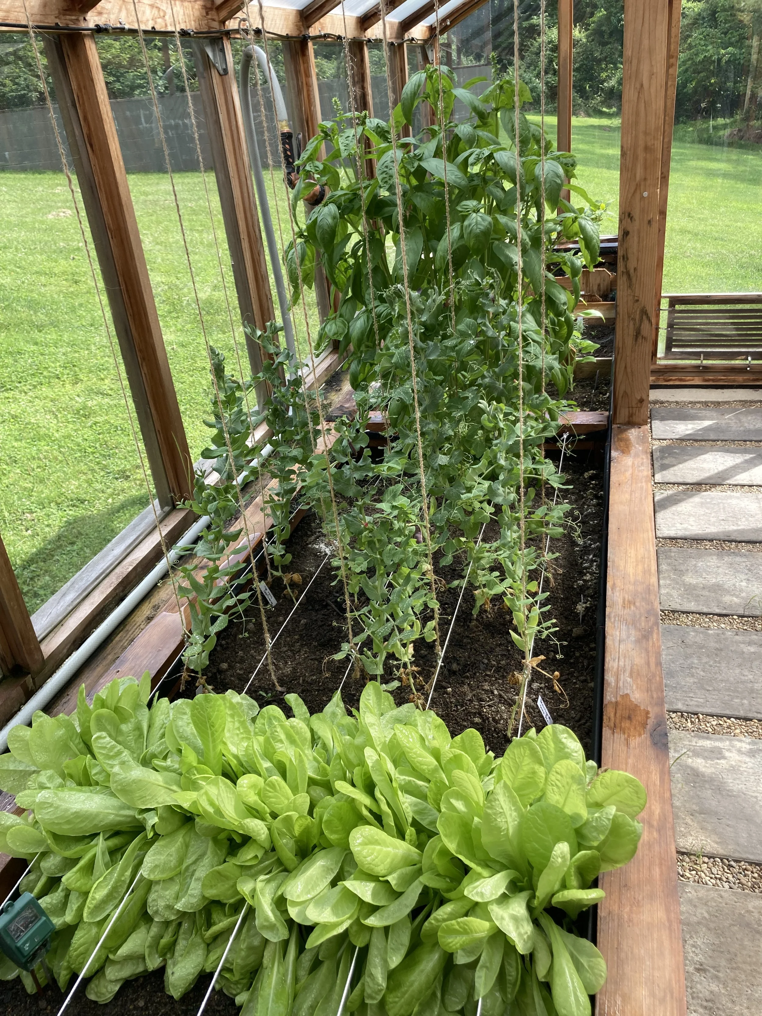 2024-05-18 16.54.34.jpg