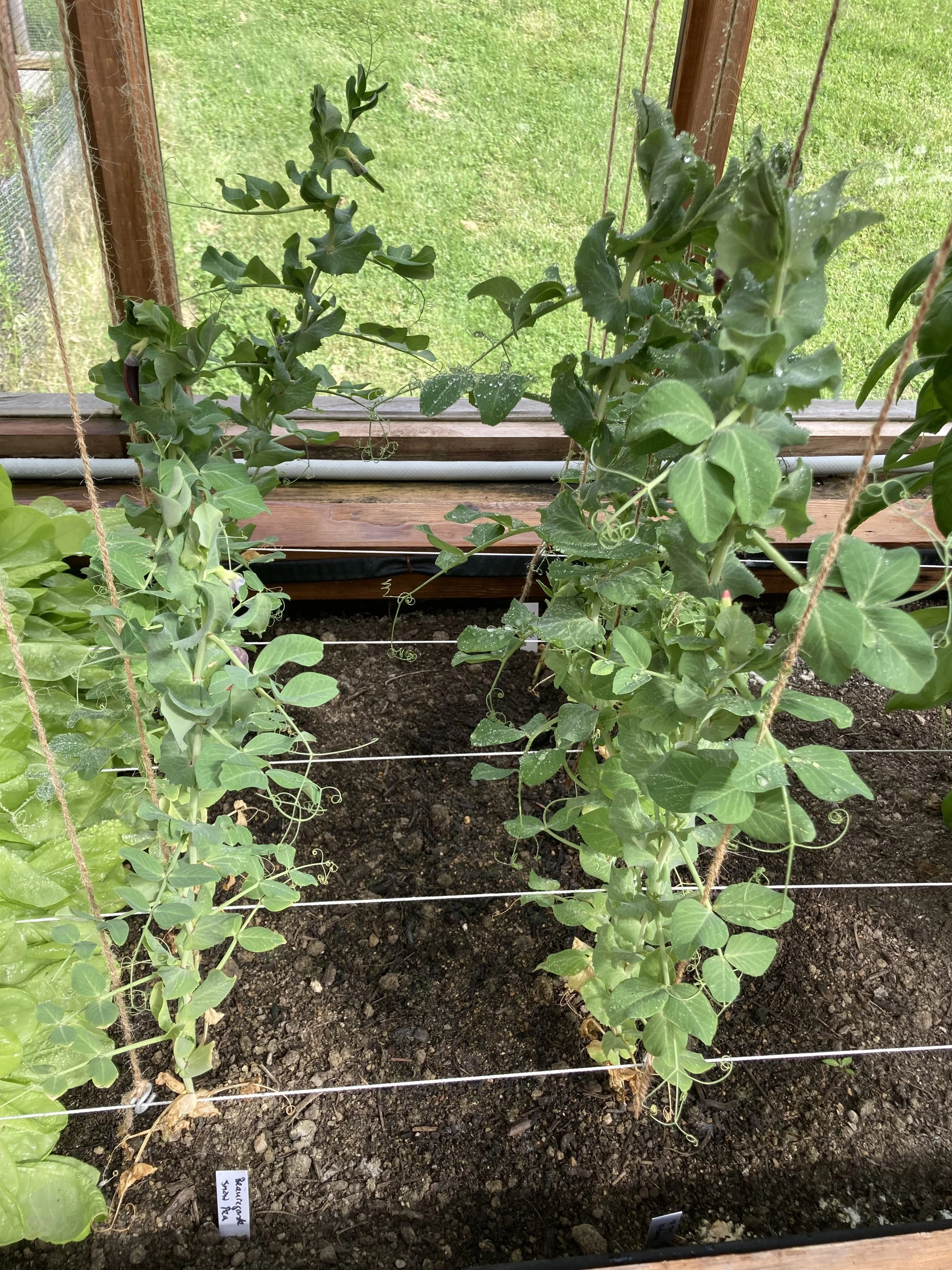 2024-05-18 16.54.43.jpg