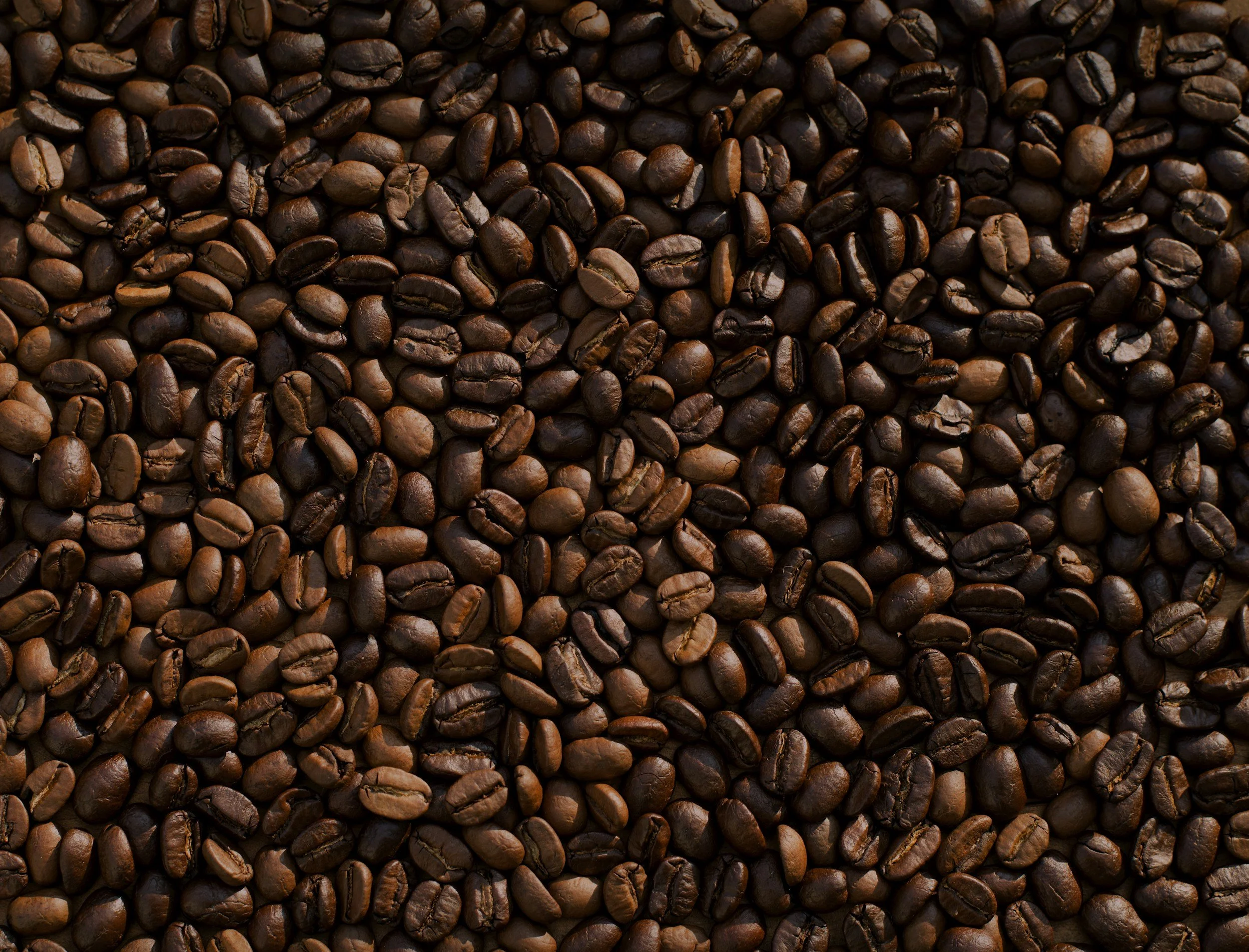 Close-up of roasted coffee beans covering the entire frame.
