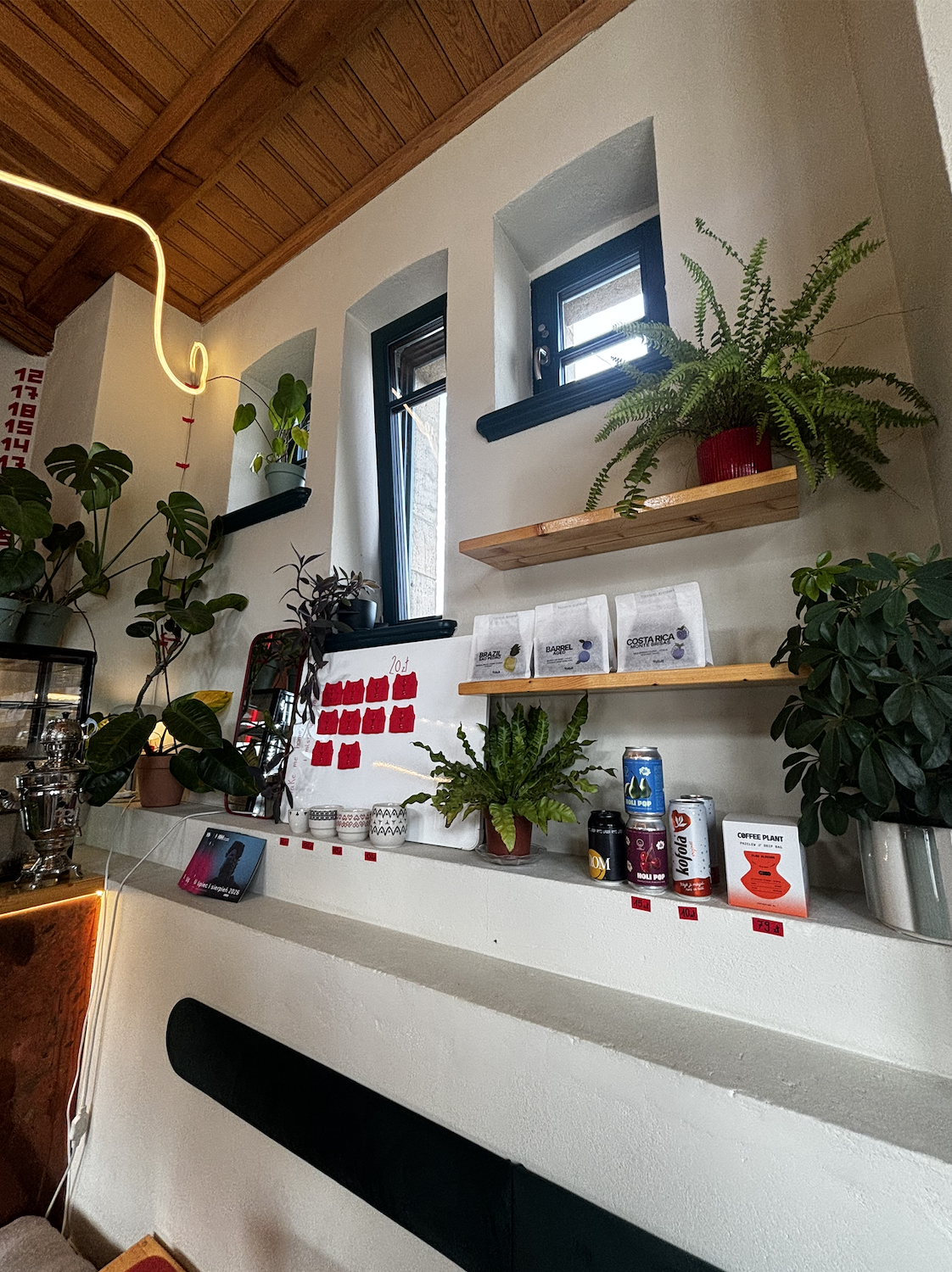 Interior view of a cozy cafe or coffee shop with plants on shelves and windows nearby, a white counter displaying coffee beans, drinks, and small decor items, and a high wooden beamed ceiling.