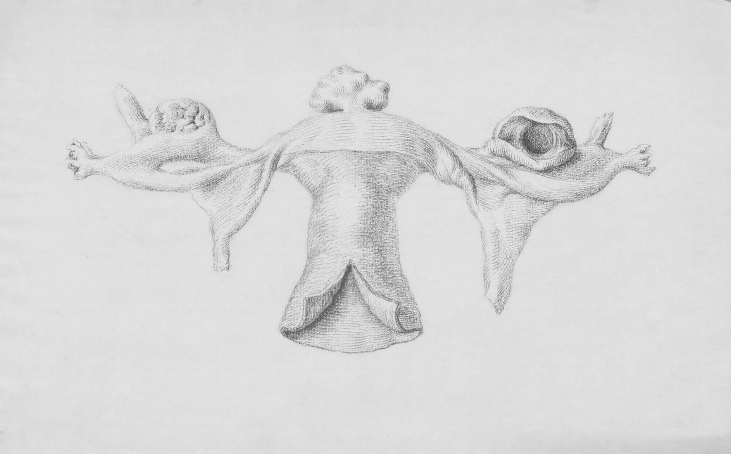 A detailed pencil sketch of the anatomy of a women's reproductive organs.