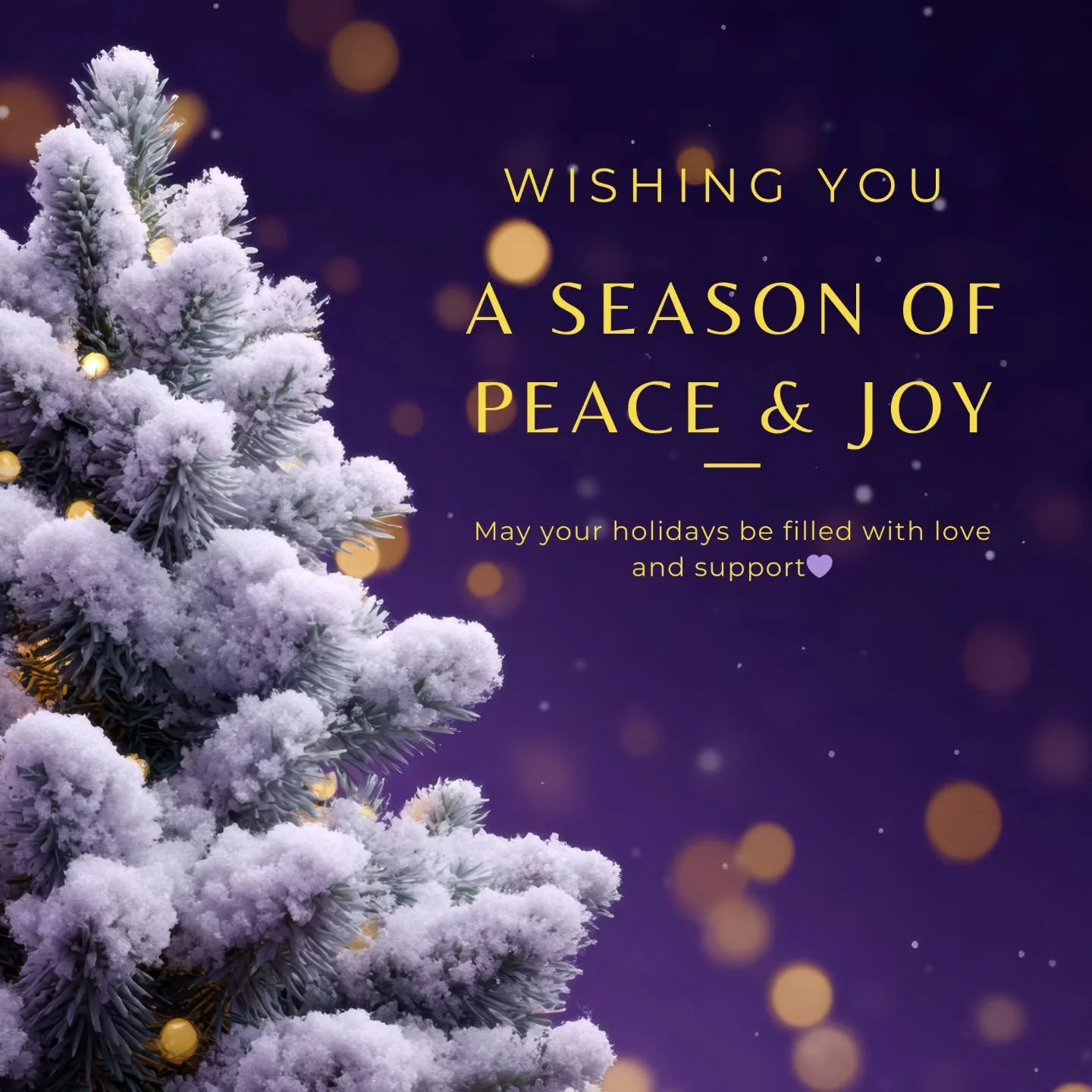 🎄✨ Sending so much love to all the growing families this holiday season.

The holidays can be joyful and heavy, especially when your body, hormones, routines, or family dynamics are already doing a lot of work.

A gentle reminder as you move through