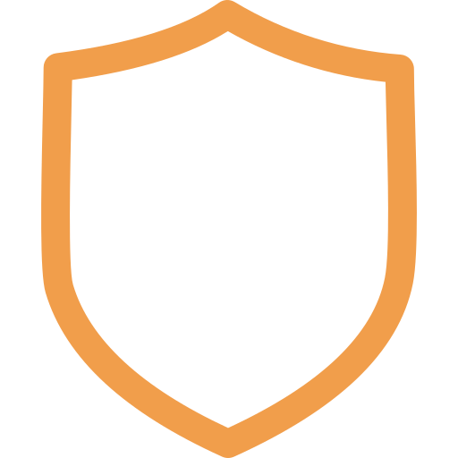 Outline of a shield in orange color.