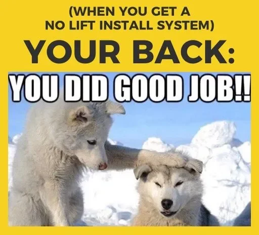 Two friendly huskies in a snowy landscape, with one dog comforting the other, as a congratulatory message for back health and an install system.