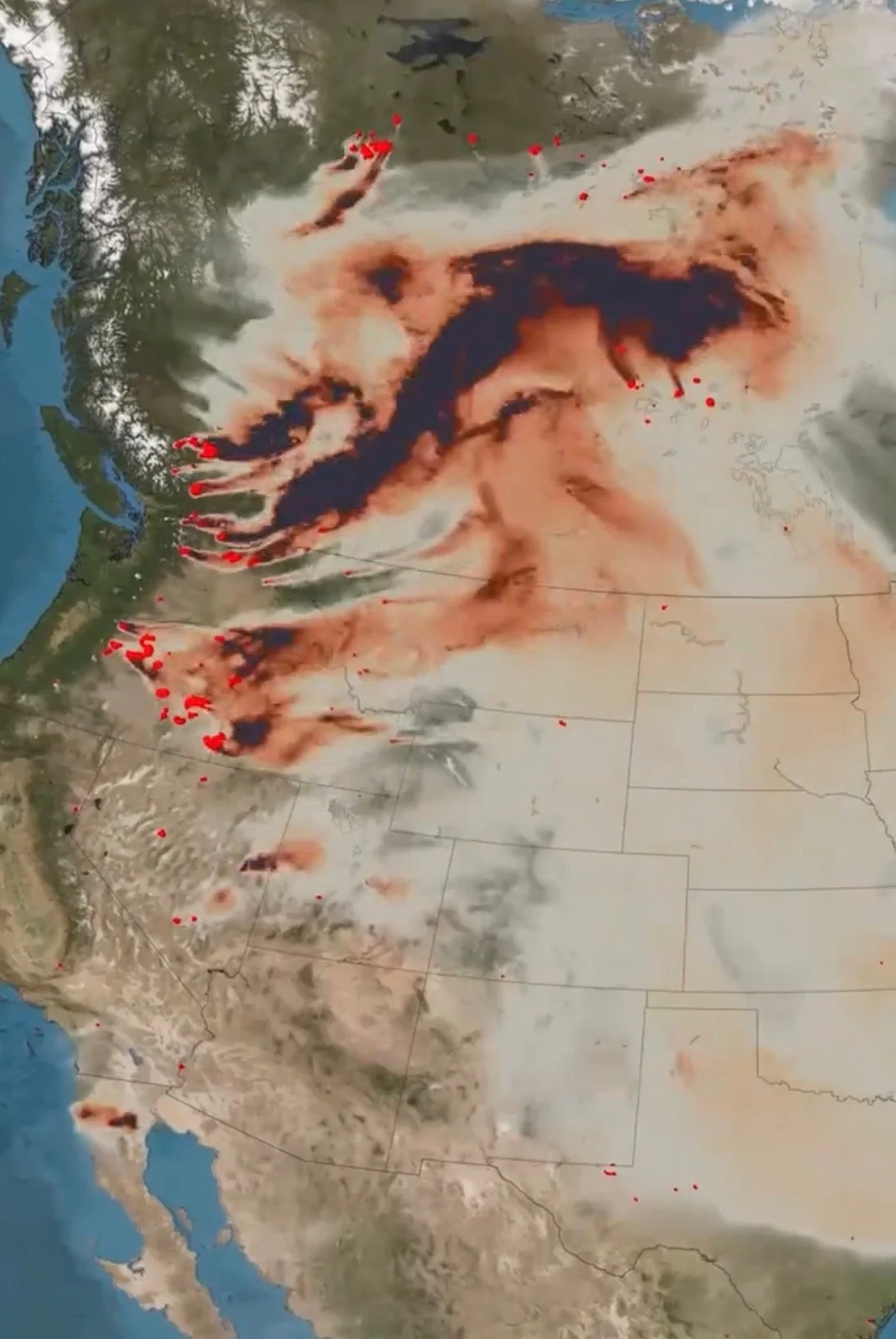   The Snowpack Has No Funeral