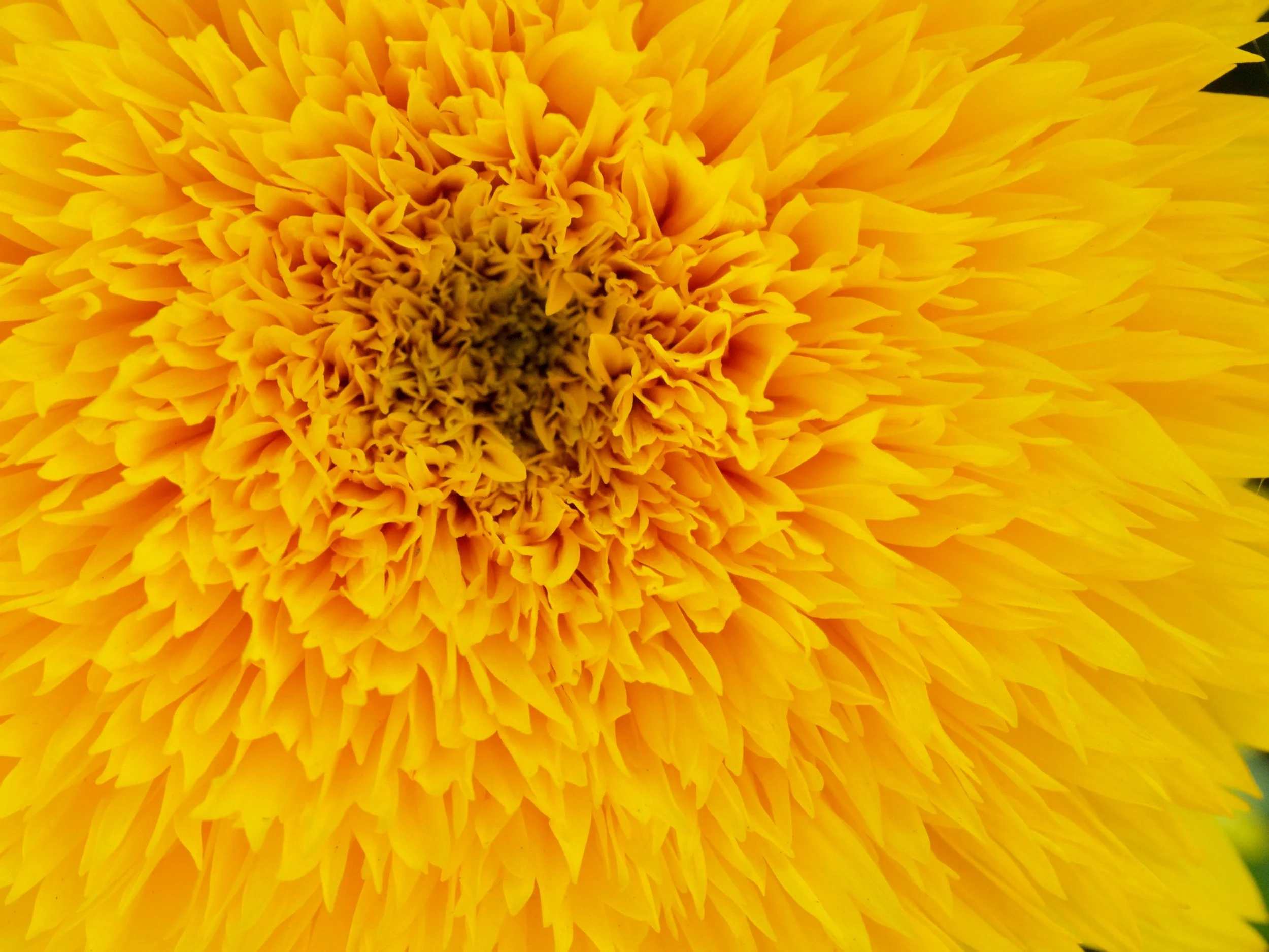 Contact me about purpose-driven marketing that powers nonprofits and social causes