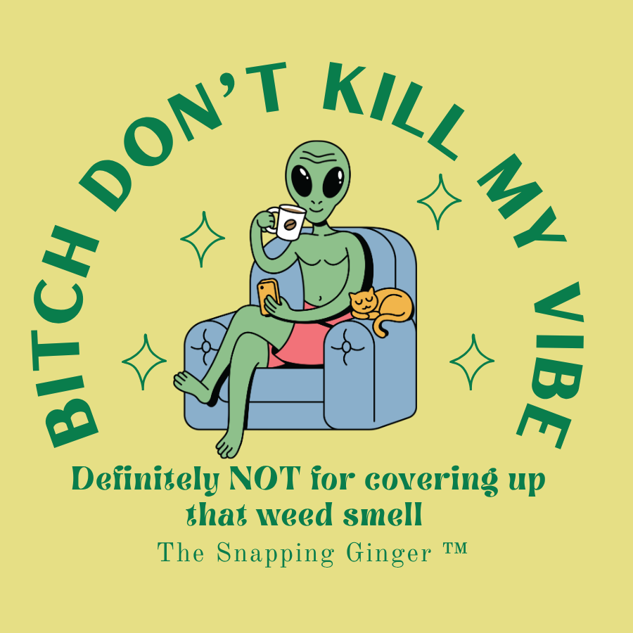 Bitch Don’t kill my vibe.png