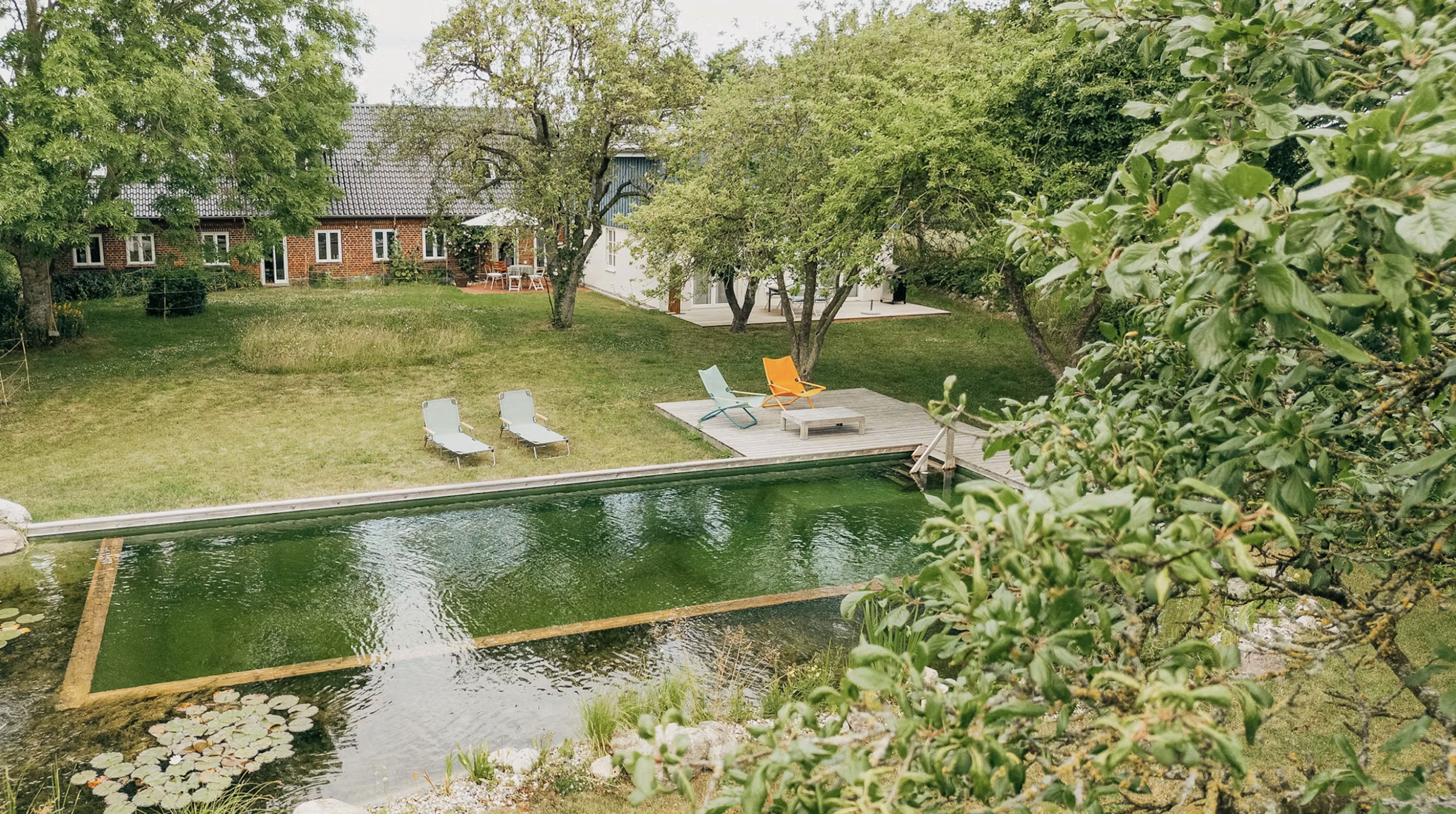 Natural Swimming Ponds vs. Traditional Pools: Why Hudson Valley Homeowners Are Making the Switch