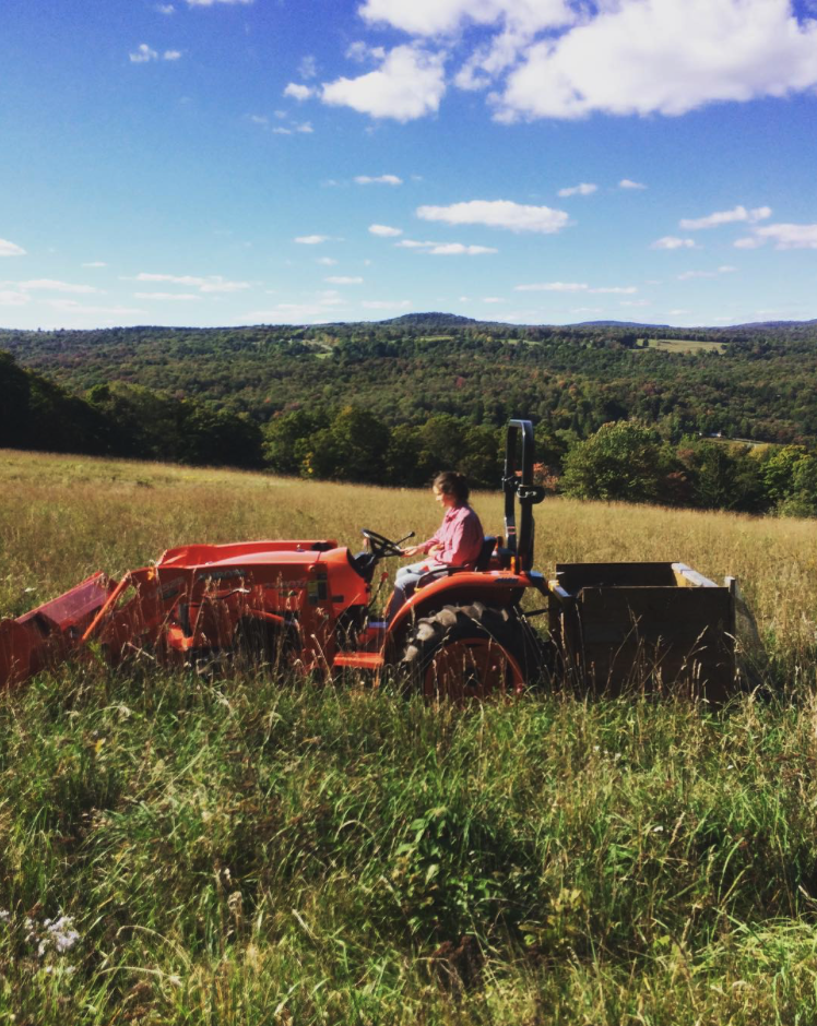a landscaper driving a tractor to remove invasive plant species during a land stewardship project in the Catskills