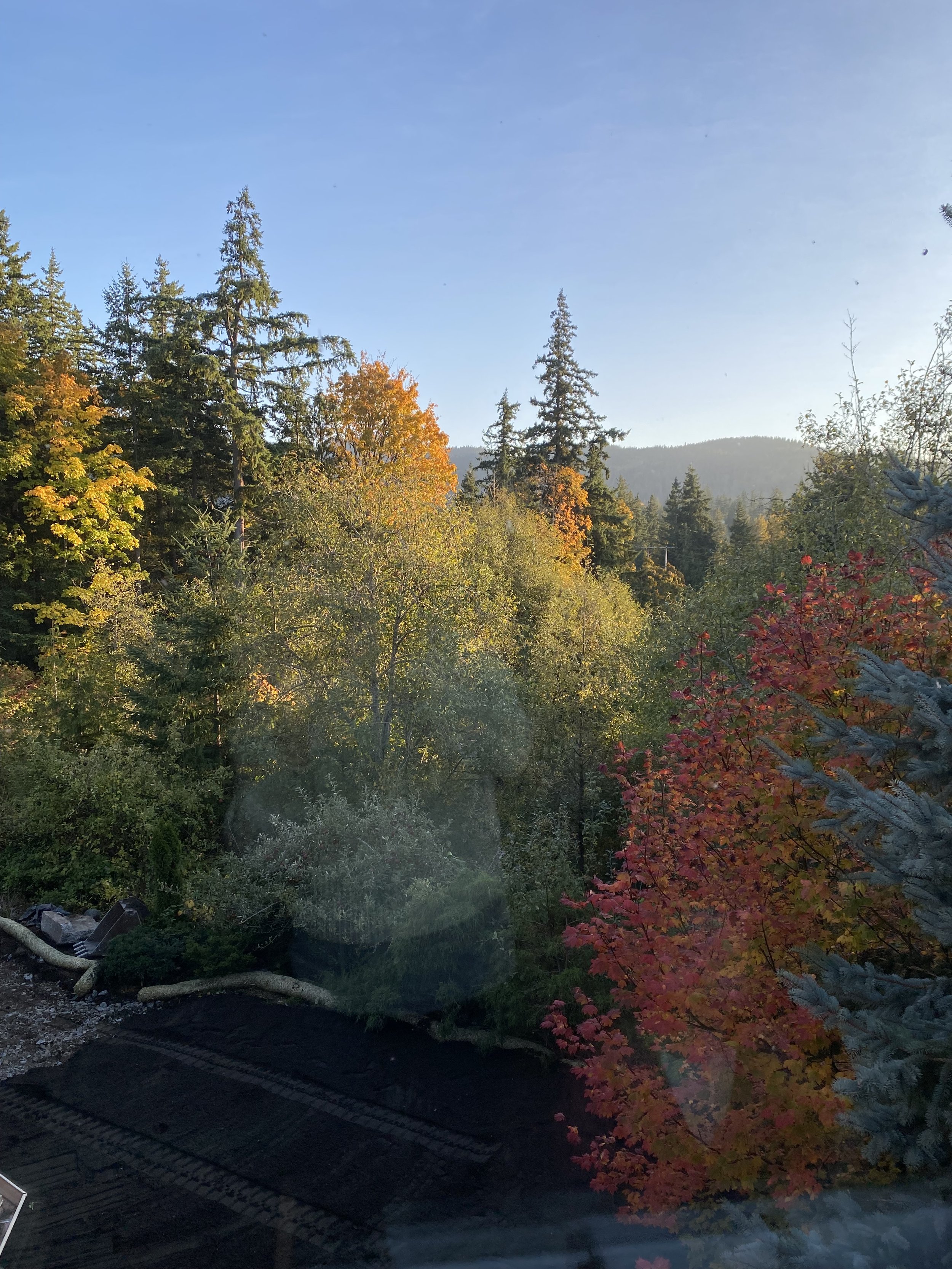 A sunset over a forested mountain landscape with autumn trees, some fallen branches, and railroad tracks in the foreground.