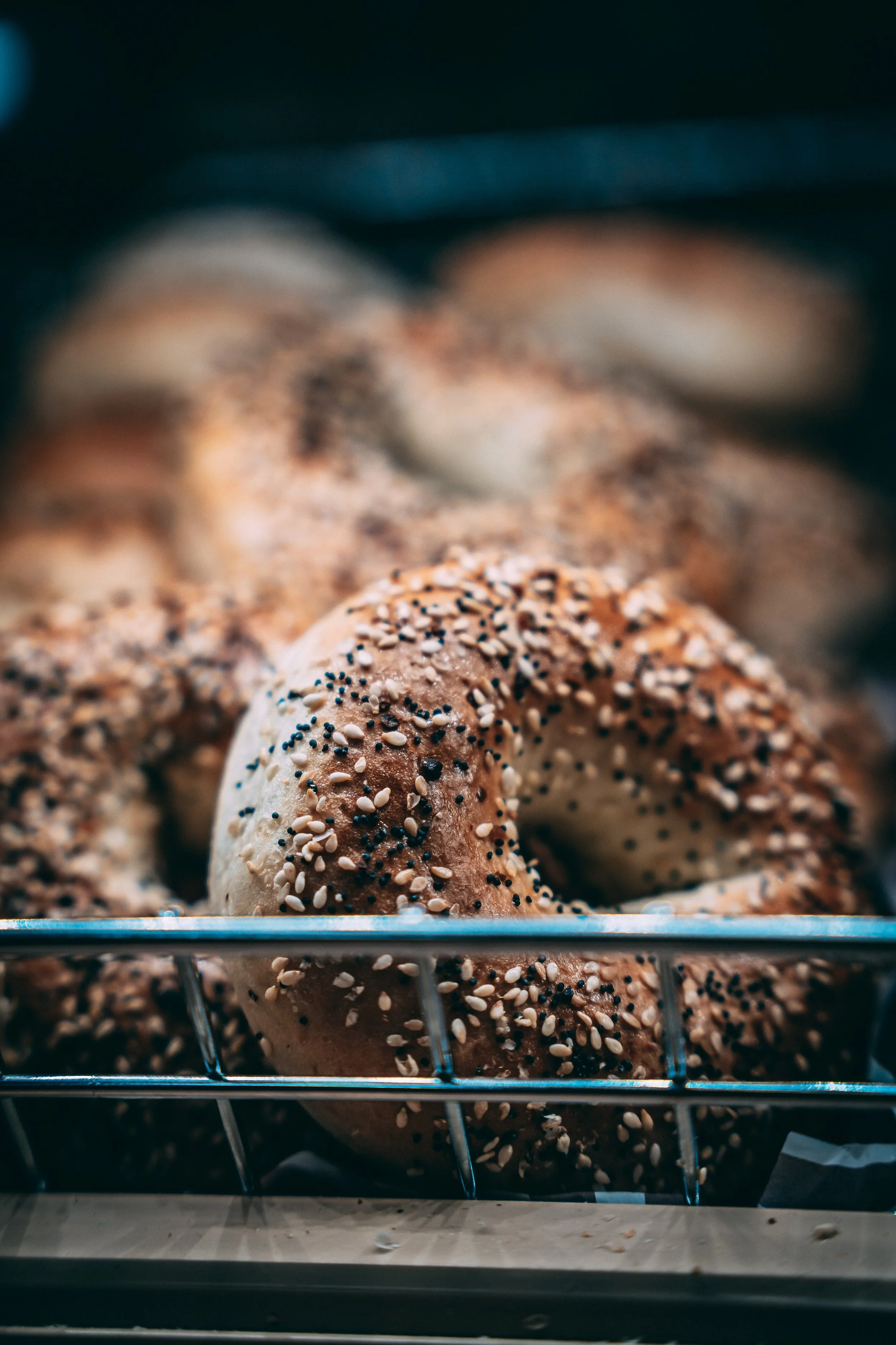 Fresh sesame bagels