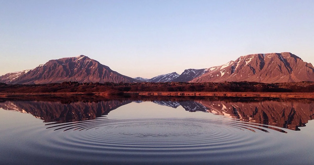 Reflections &amp; Insights