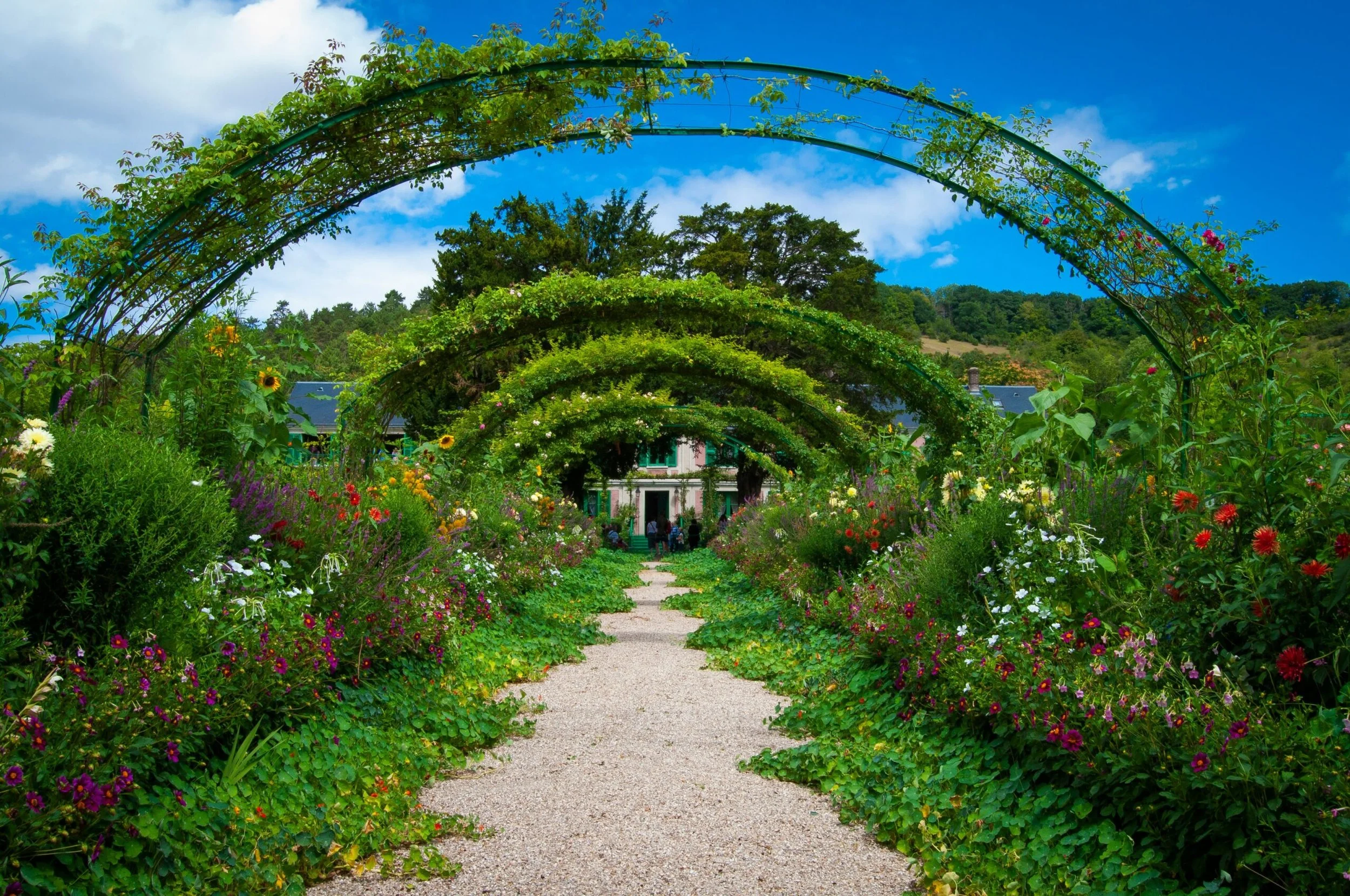 Shalom: A Better Garden (and Business, Chapter, City, State, Nation, World)