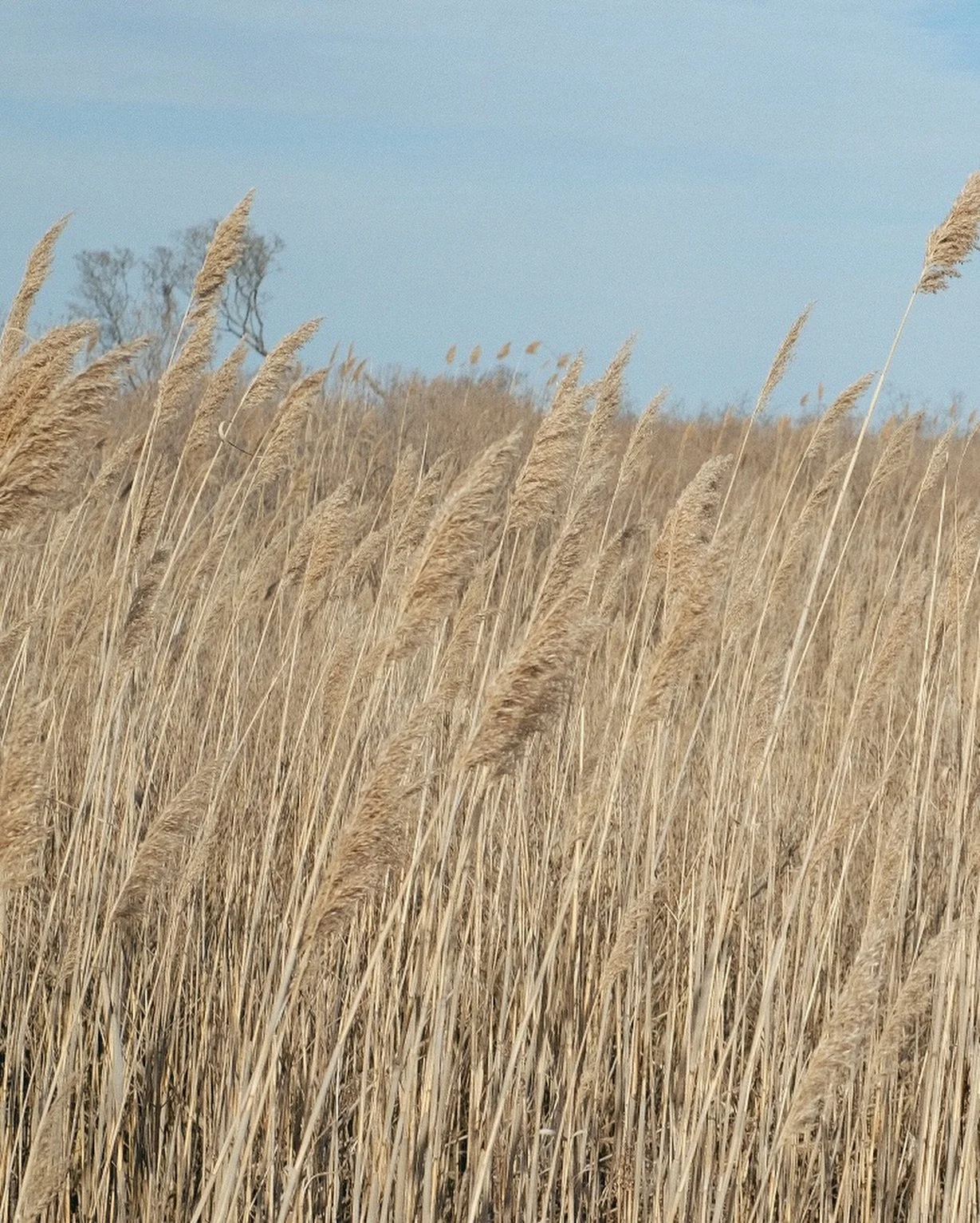 How silly of me to forget that I am the love of my life 🦋