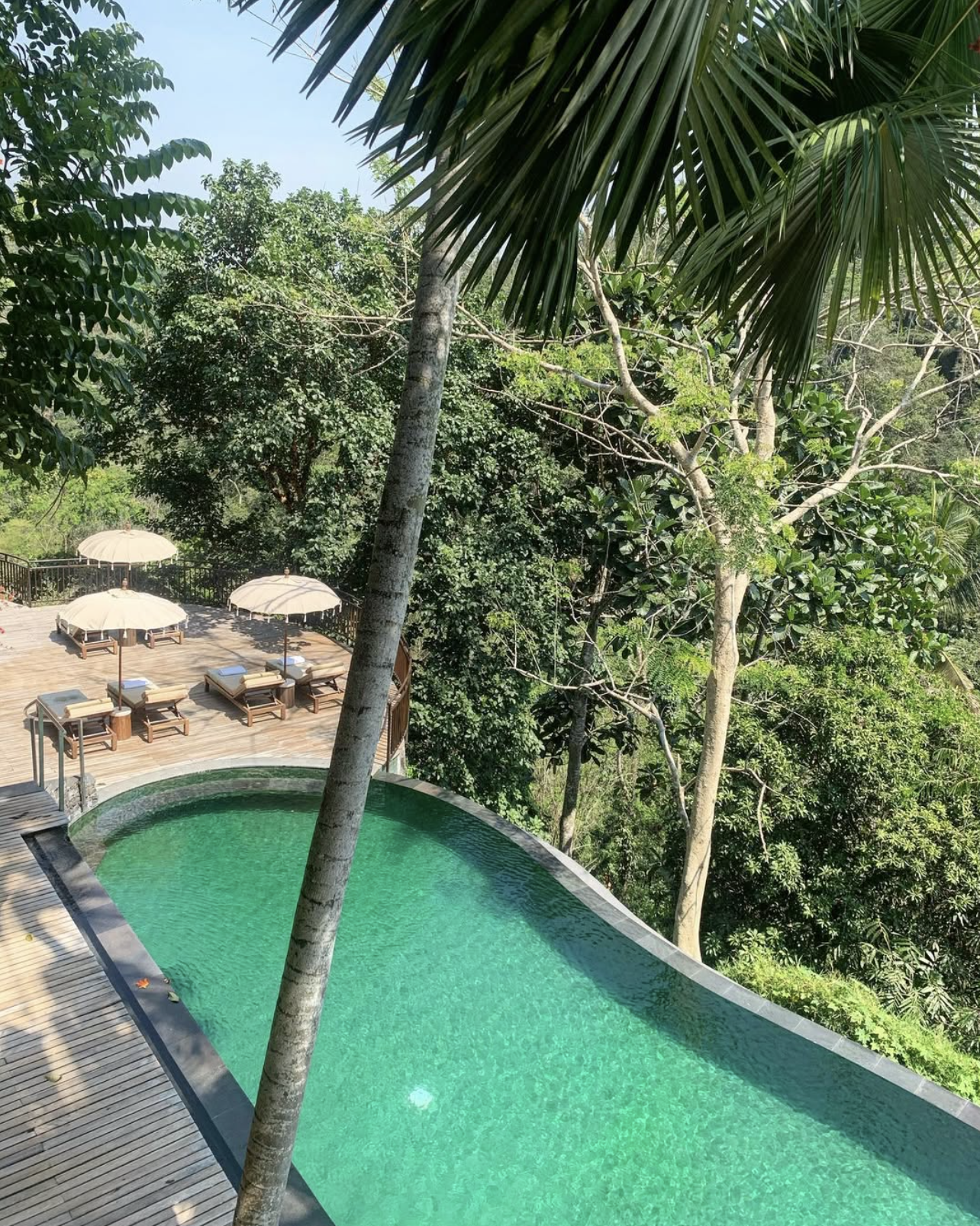 Screenshot 2026-02-18 at 12.02.40 PM.png