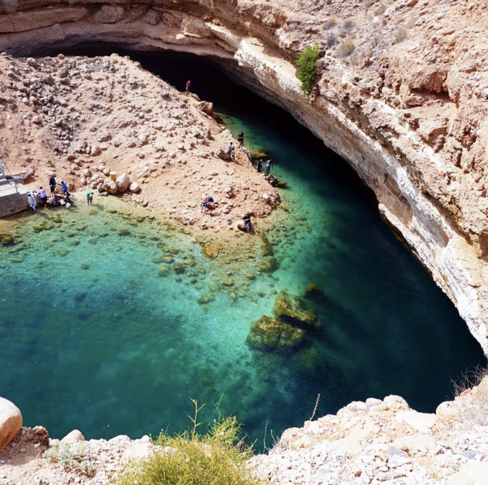 Screenshot 2026-02-18 at 12.04.19 PM.png