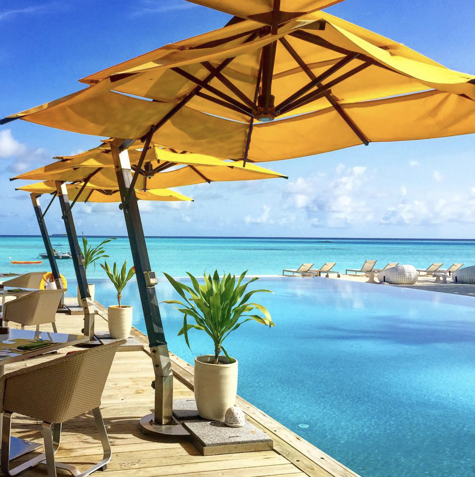 Screenshot 2026-02-18 at 12.03.39 PM.png