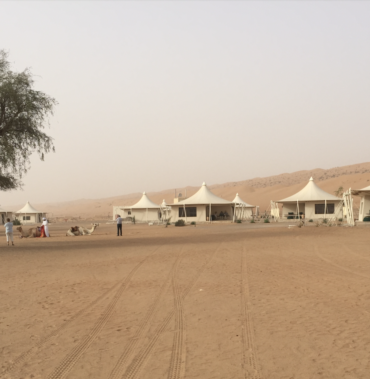 Desert Camping in Oman