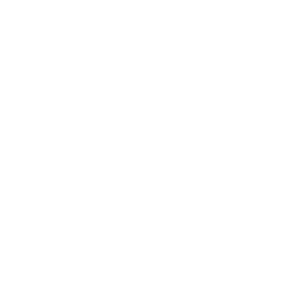 Icon of a magnifying glass over a document with lines of text.