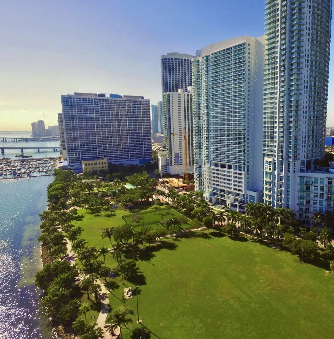 Why Farmers Markets Are the Future of Local Economies?