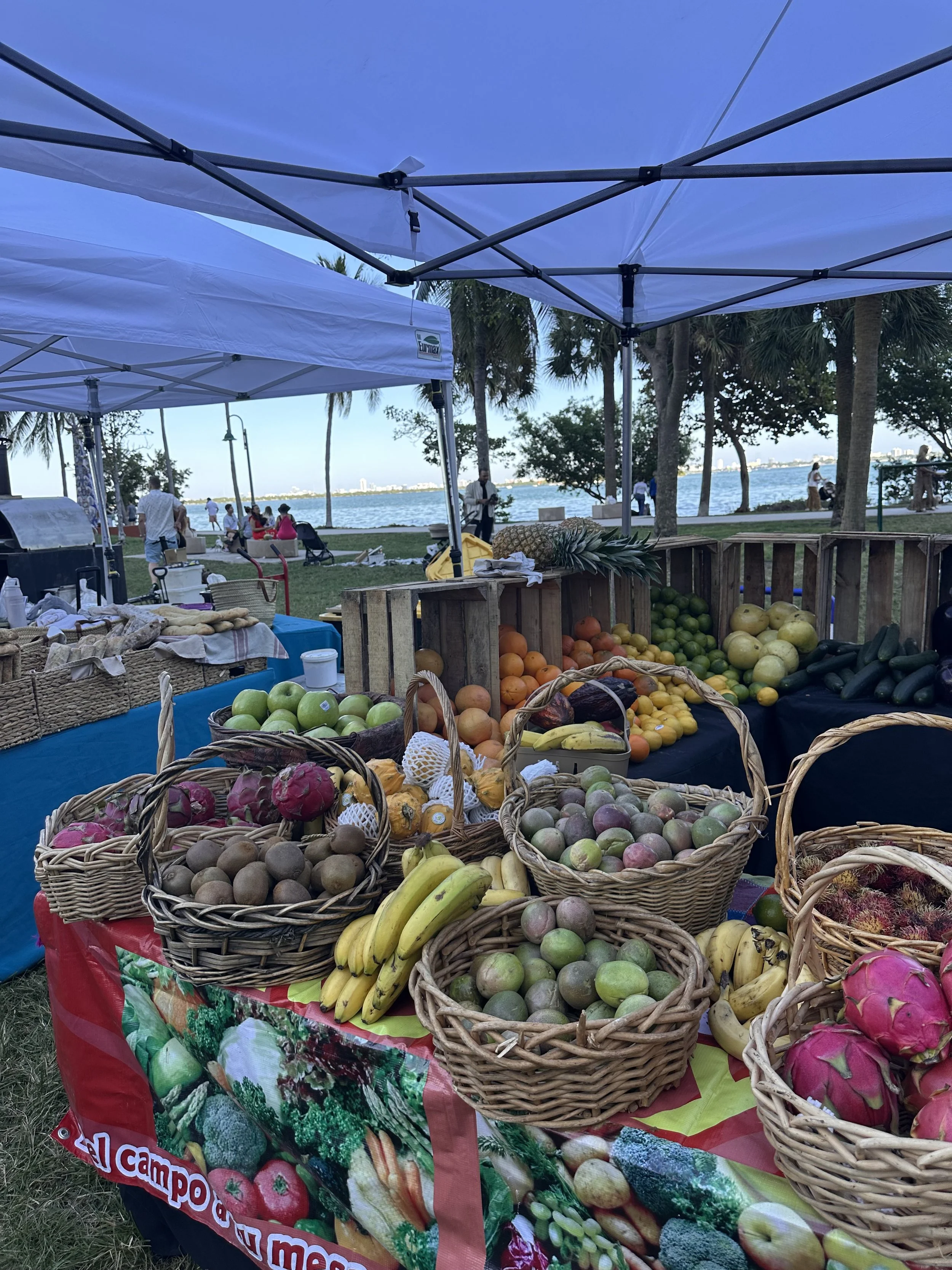 Outdoor farmers market with various fresh fruits and vegetables displayed in baskets and crates under tents near a body of water with people and palm trees in the background.