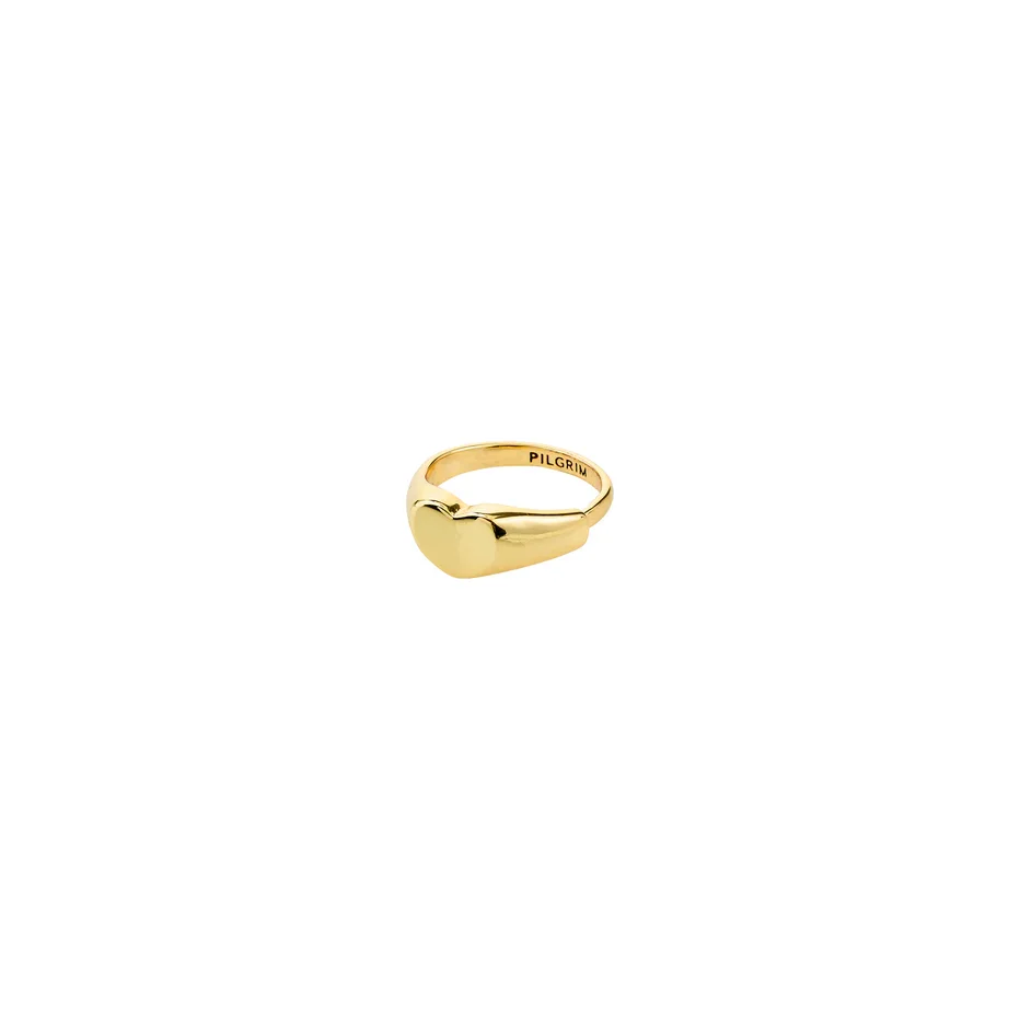 ARIN gold-plated ring