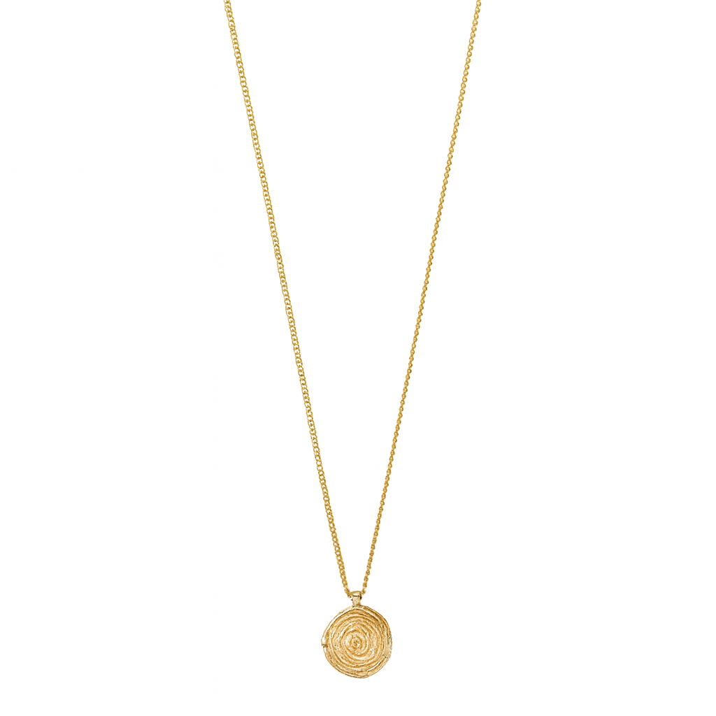 Air Coin Necklace Gold Plated