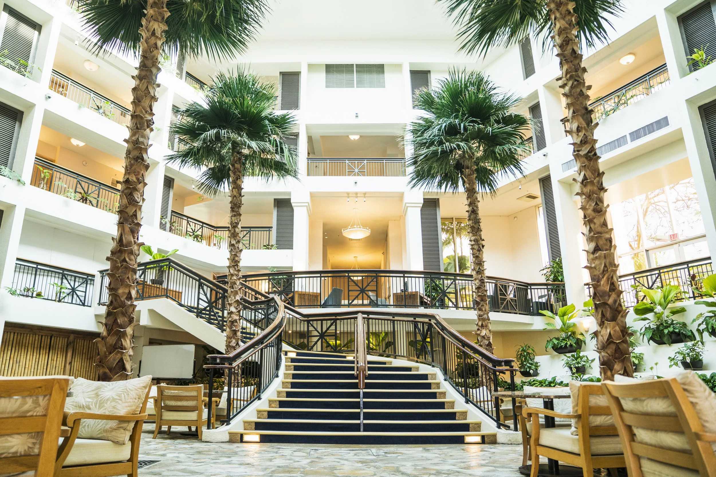 Interior view of a hotel atrium with a staircase, palm trees, and seating area.