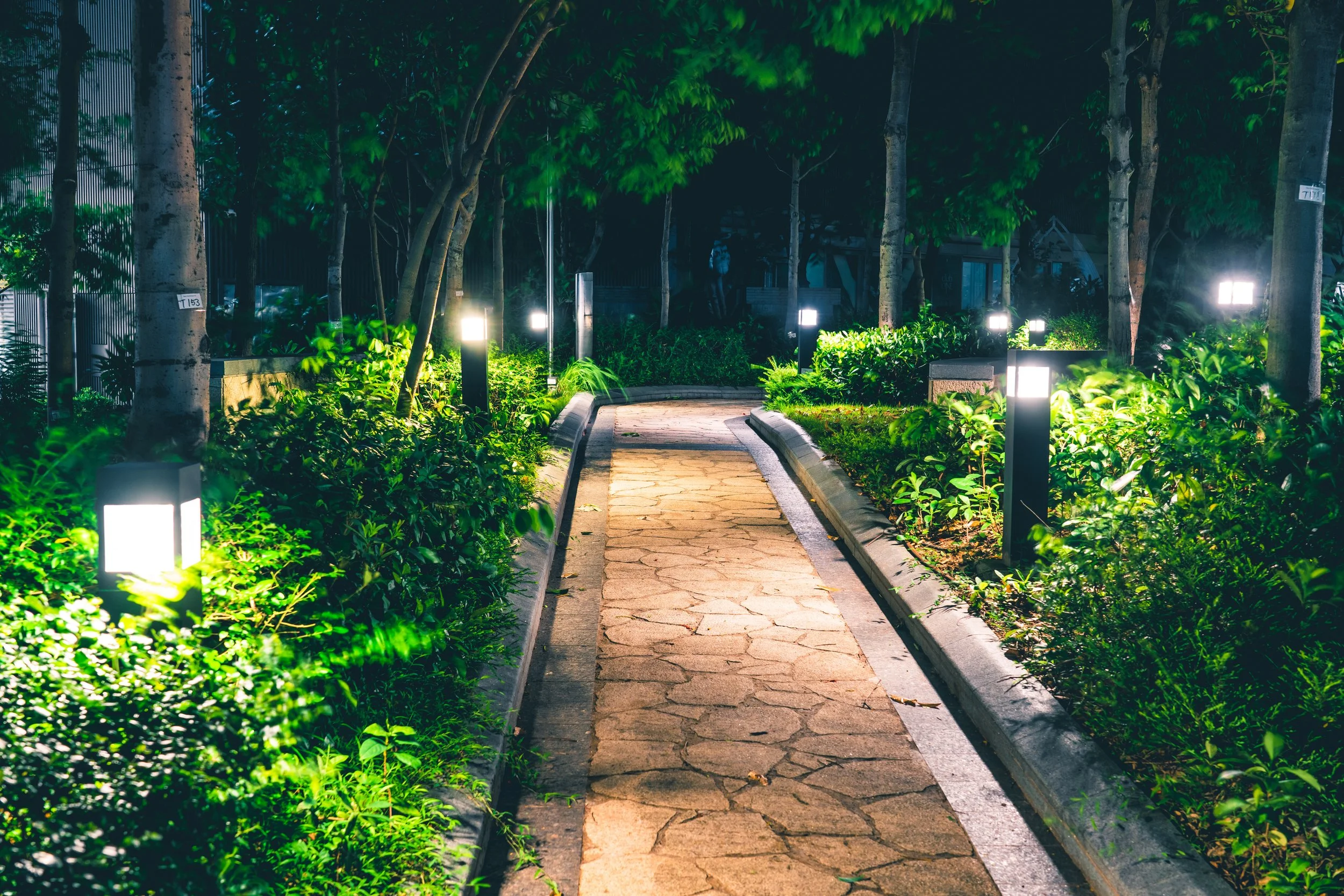 Nighttime view of a narrow garden pathway illuminated by small modern lights, with bushes and trees on either side.