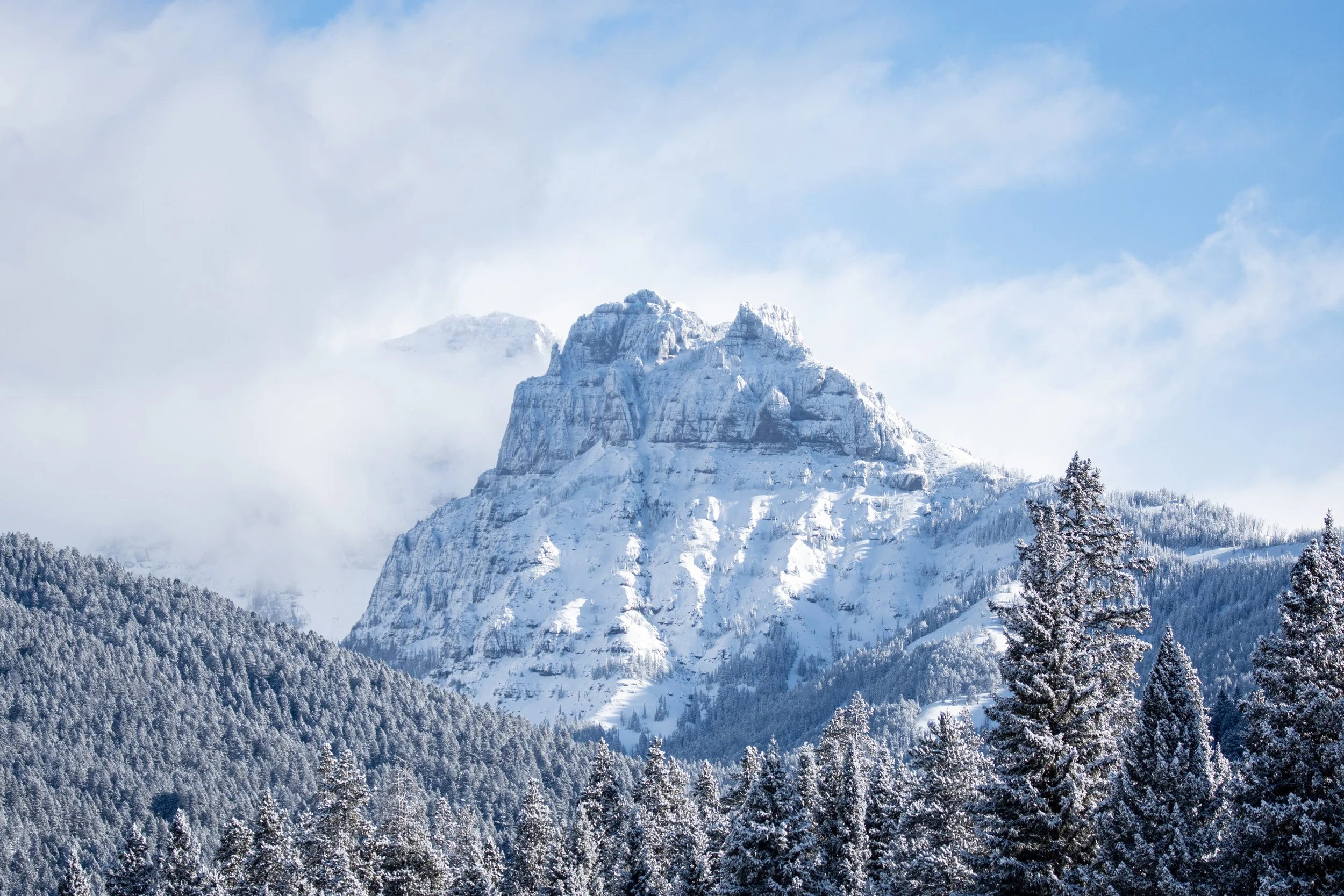 Yellowstone National Park in winter