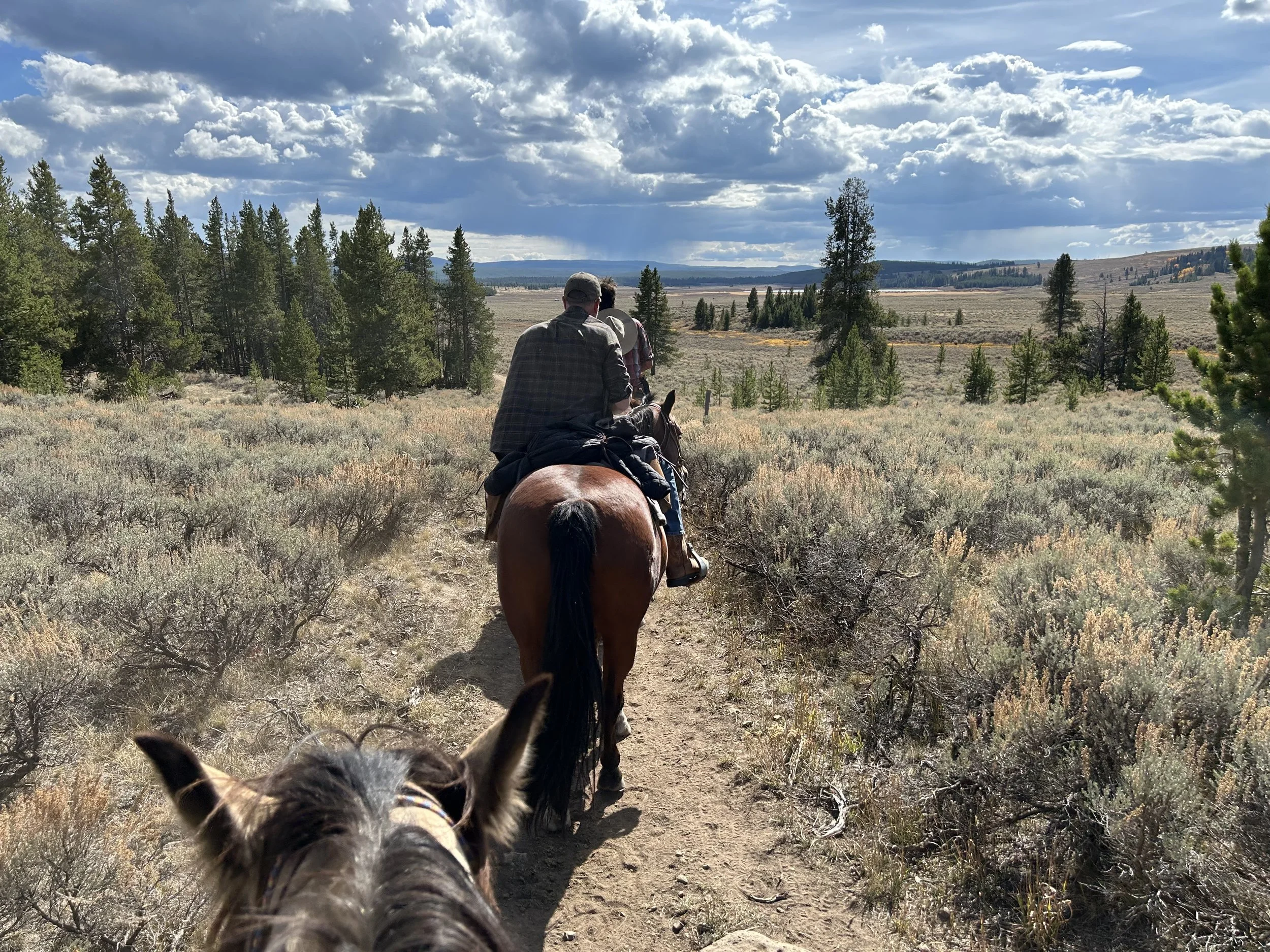 Photo Sep 28 2025, 1 51 45 PM.jpg