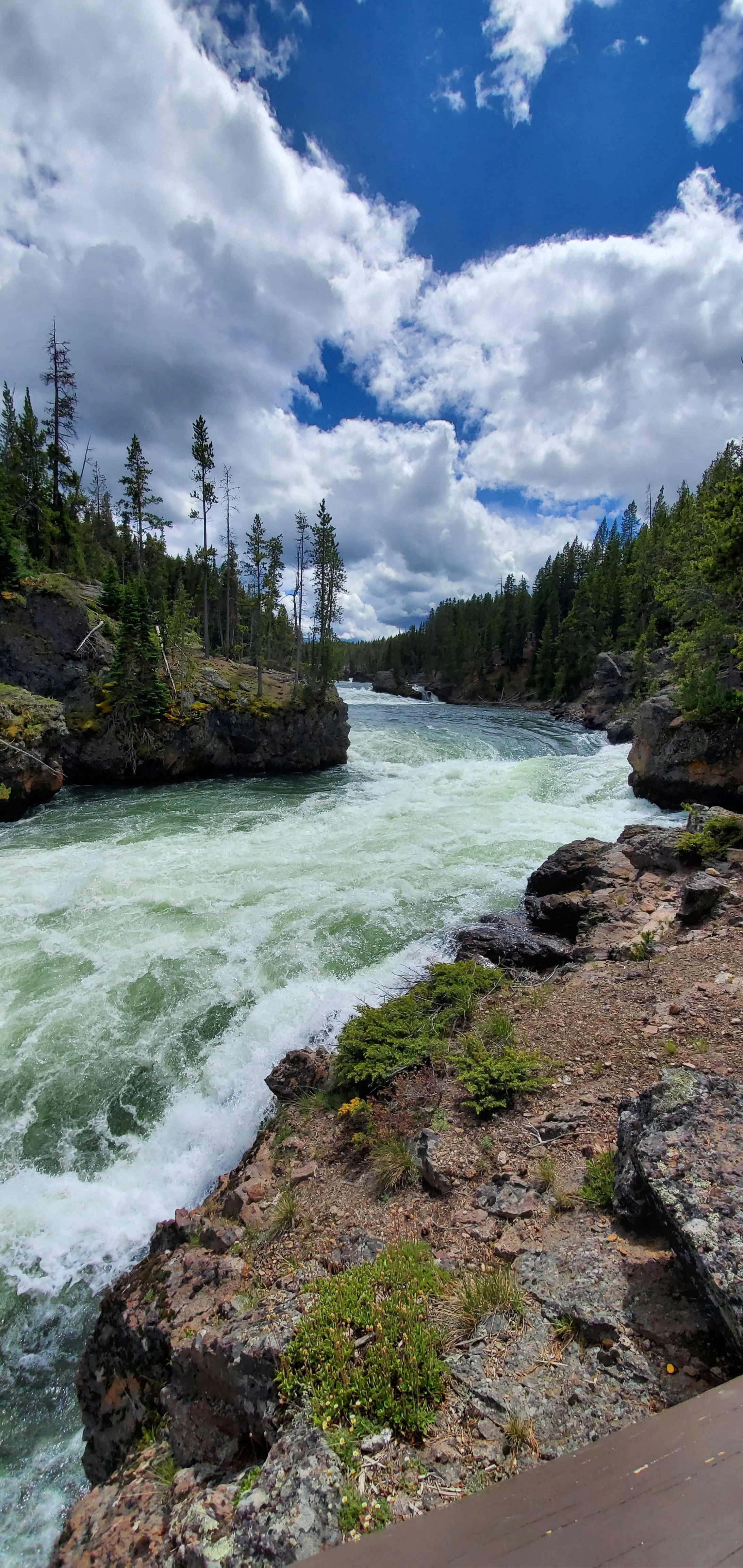 Rushing river in Yellowstone National Park
