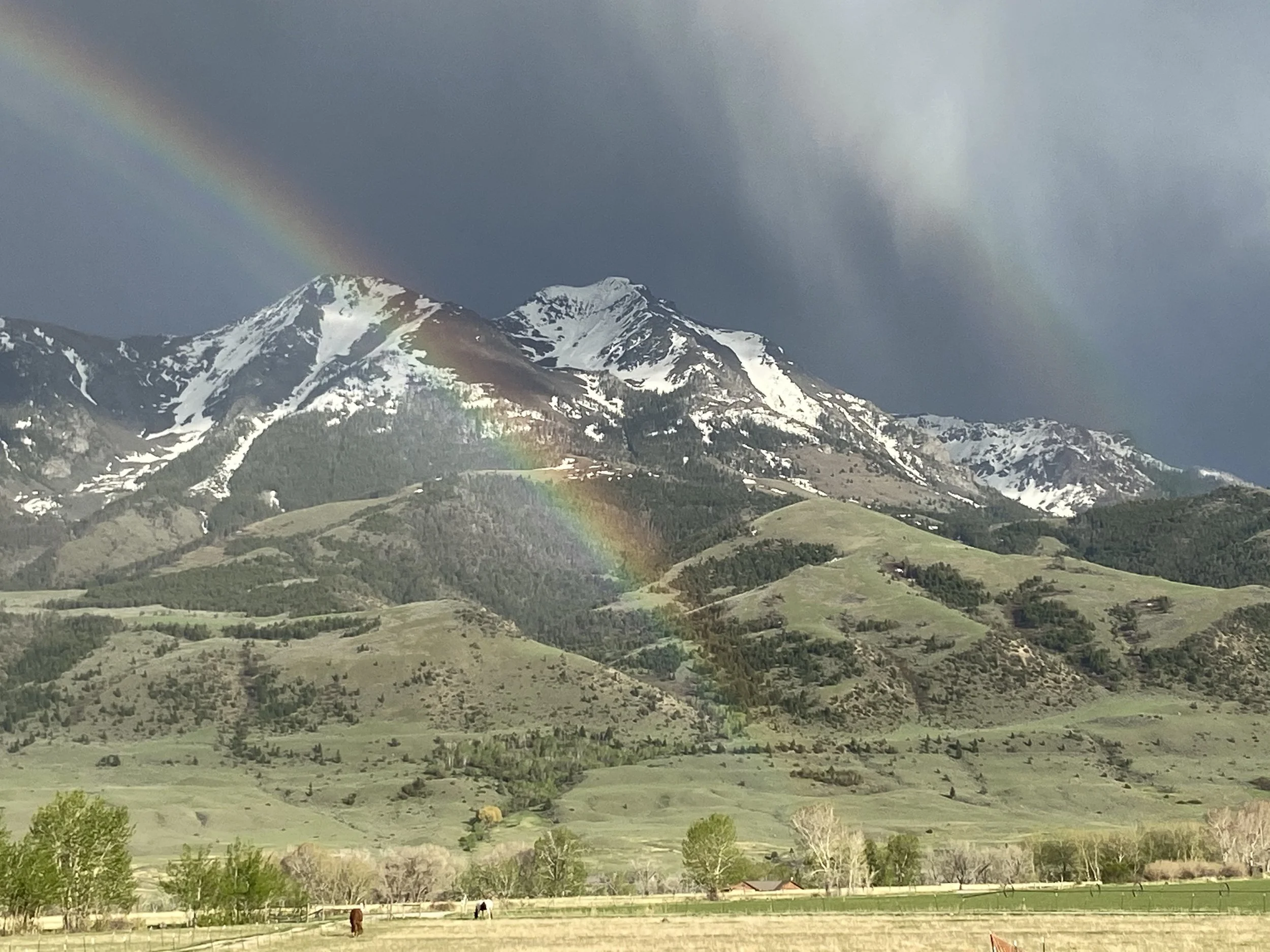Emigrant Peak at Yellowstone Dreamin Retreat