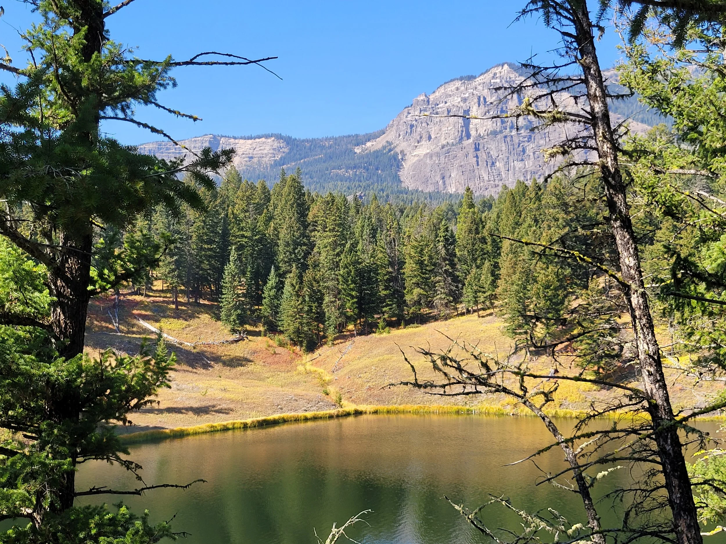 Lake in Yellowstone National Park