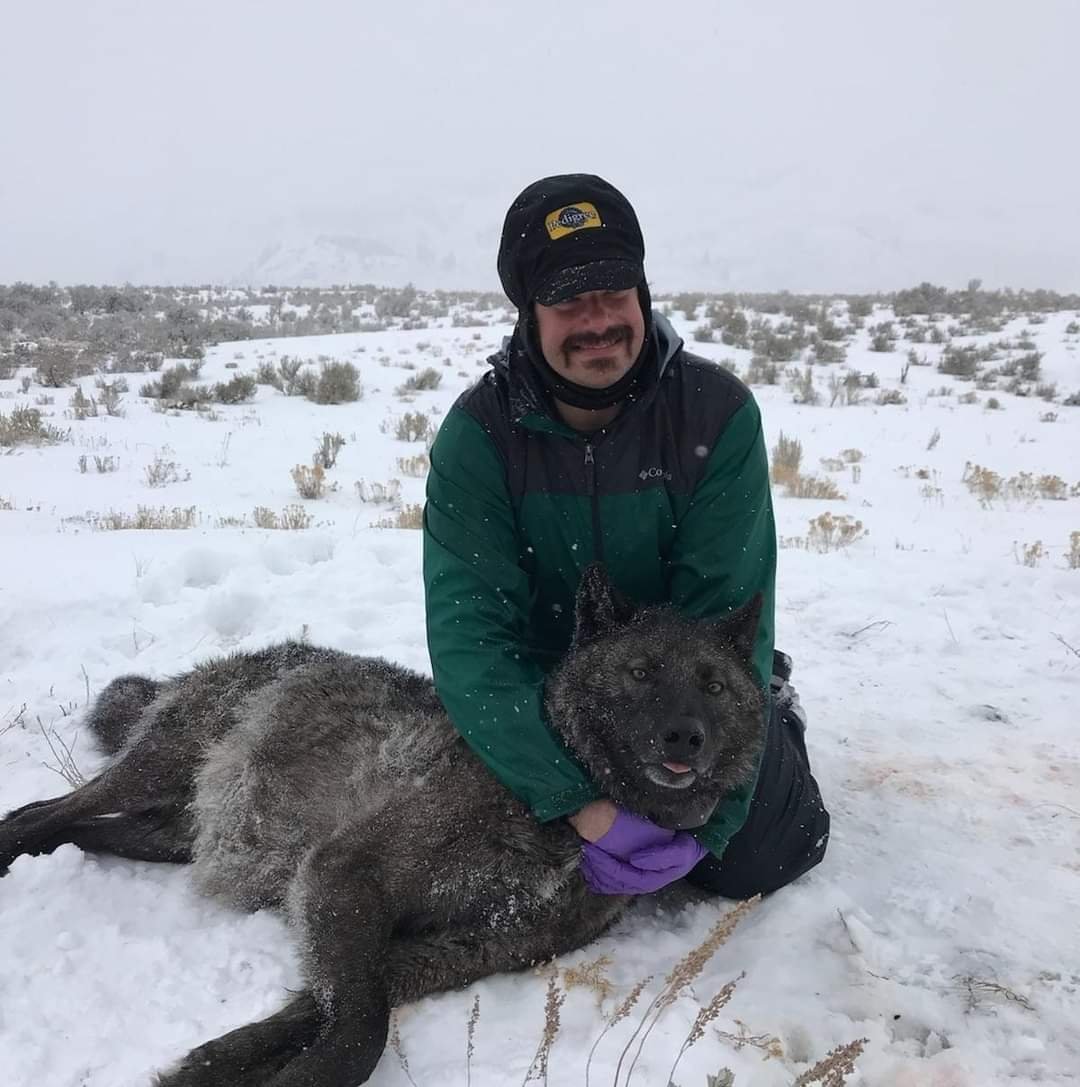 Adam Fahnestock.jpeg