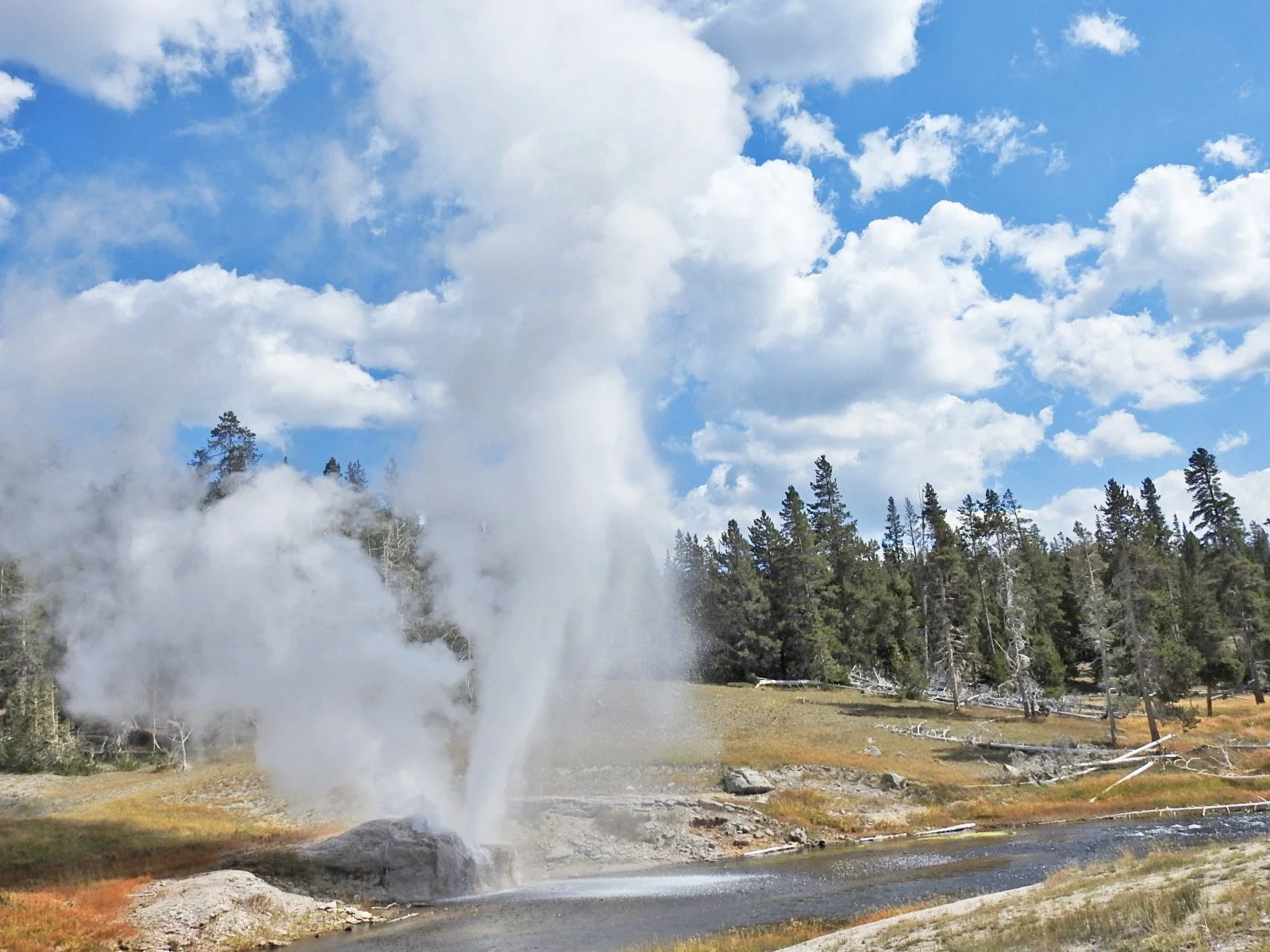 Geyser in Yellowstone National Park