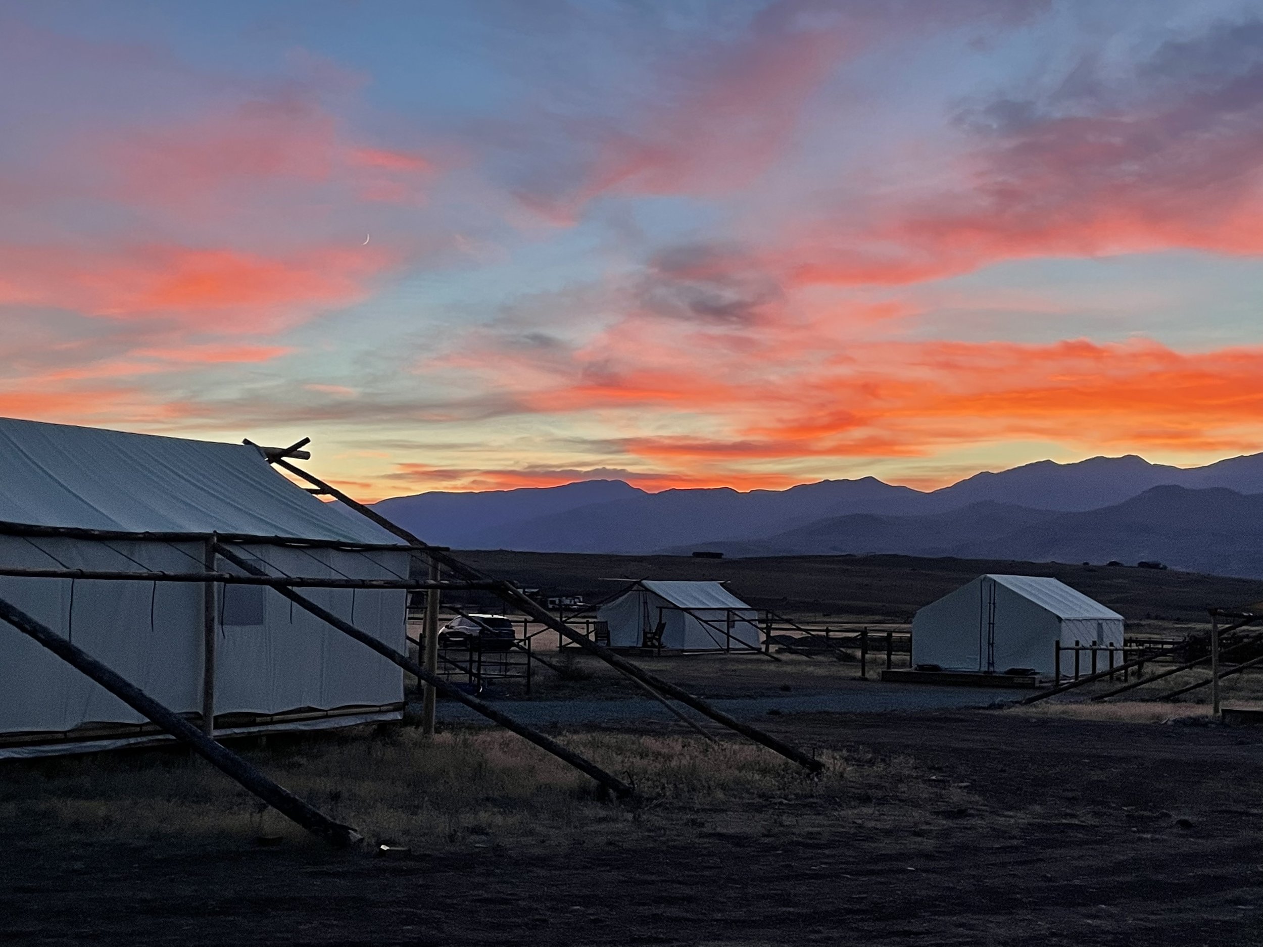 A convertible Mustang with top down on a forest trail, as a woman stands, arms raised in joy, capturing the essence of adventure and freedom amidst towering trees.
