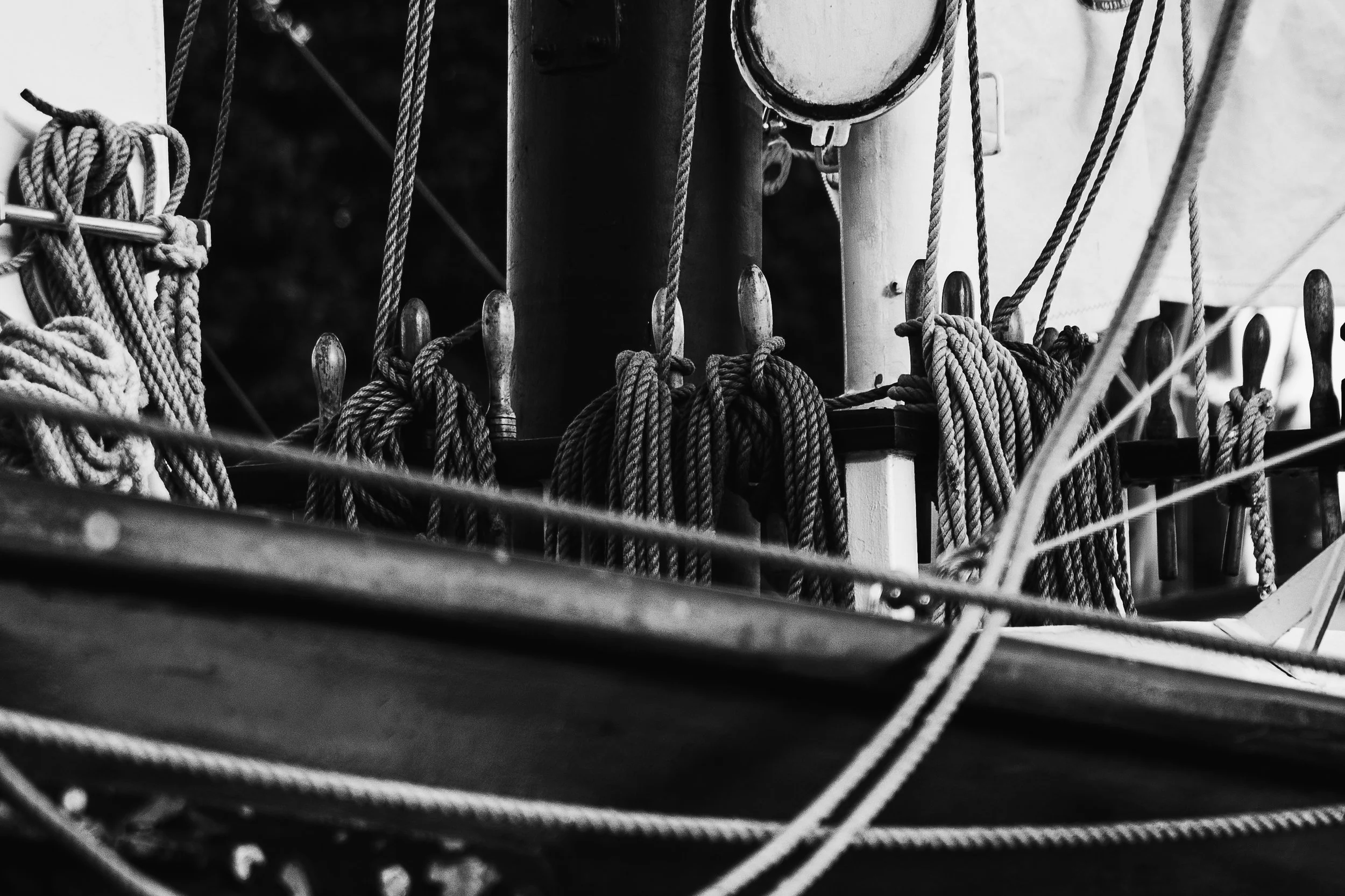 Copy of ventr sum 2023-124.jpg