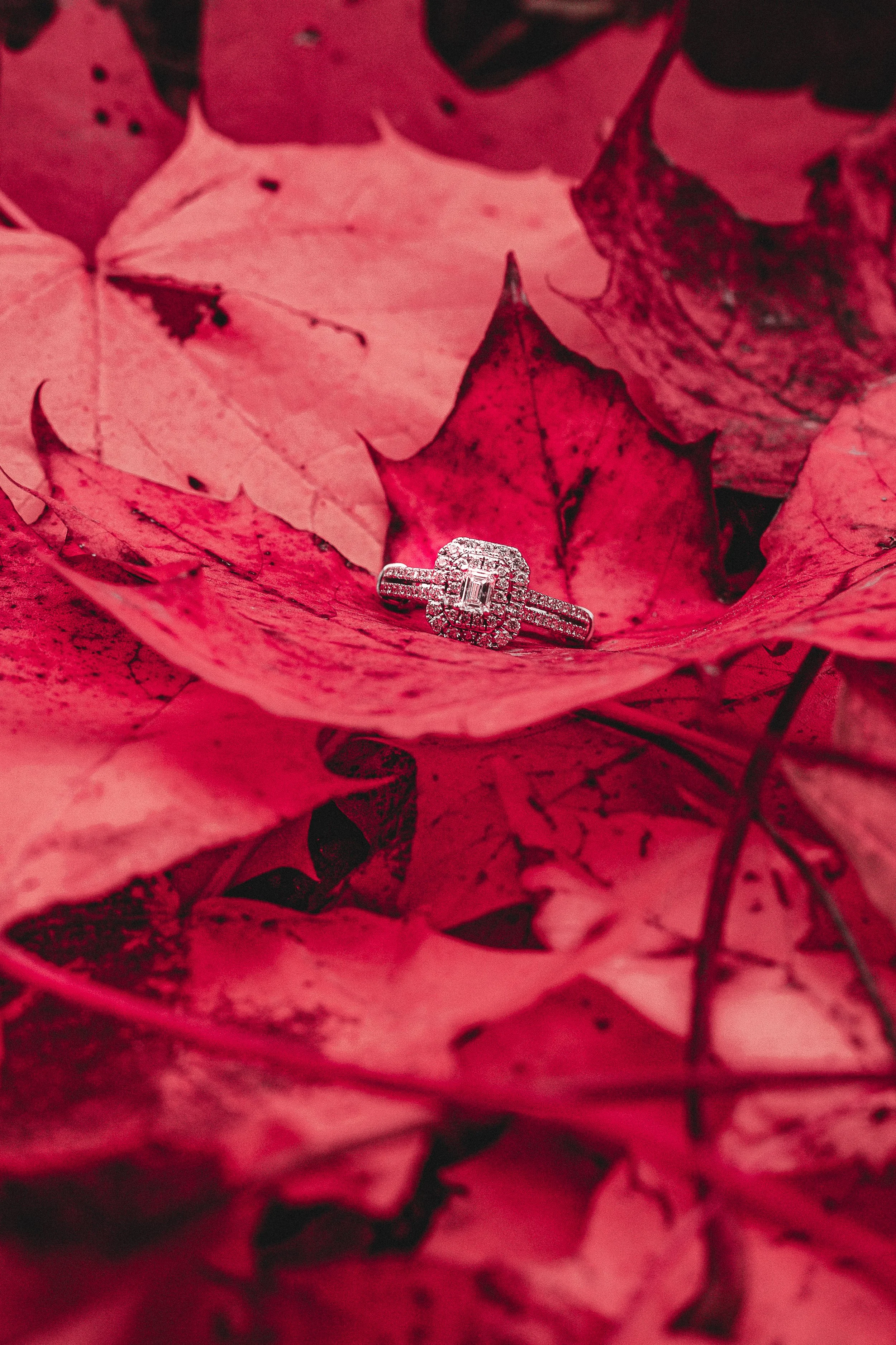 Copy of IMG_0606.jpg