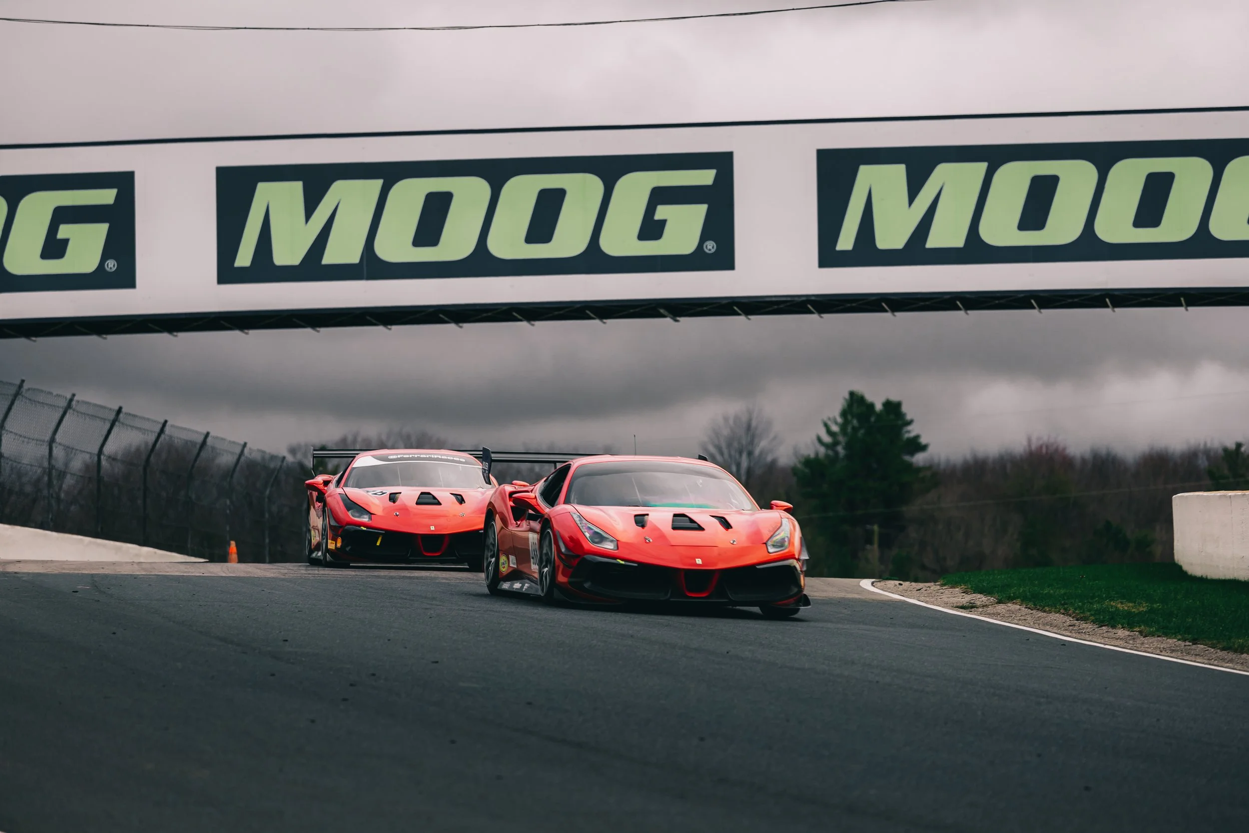 Copy of IMG_6732.jpg