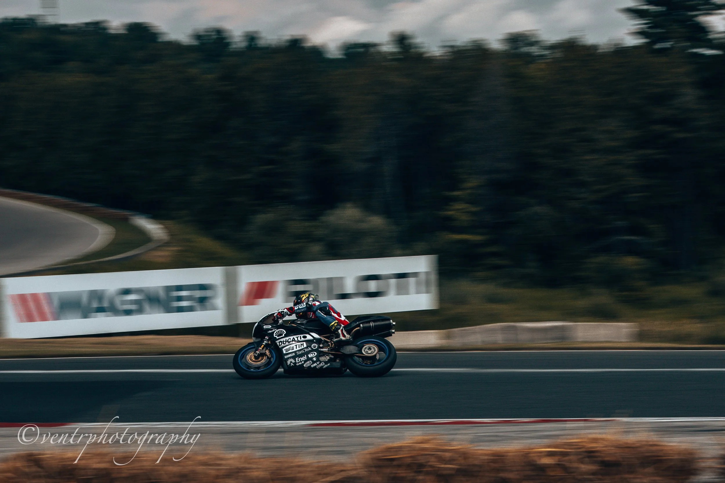 Copy of IMG_4322.jpg