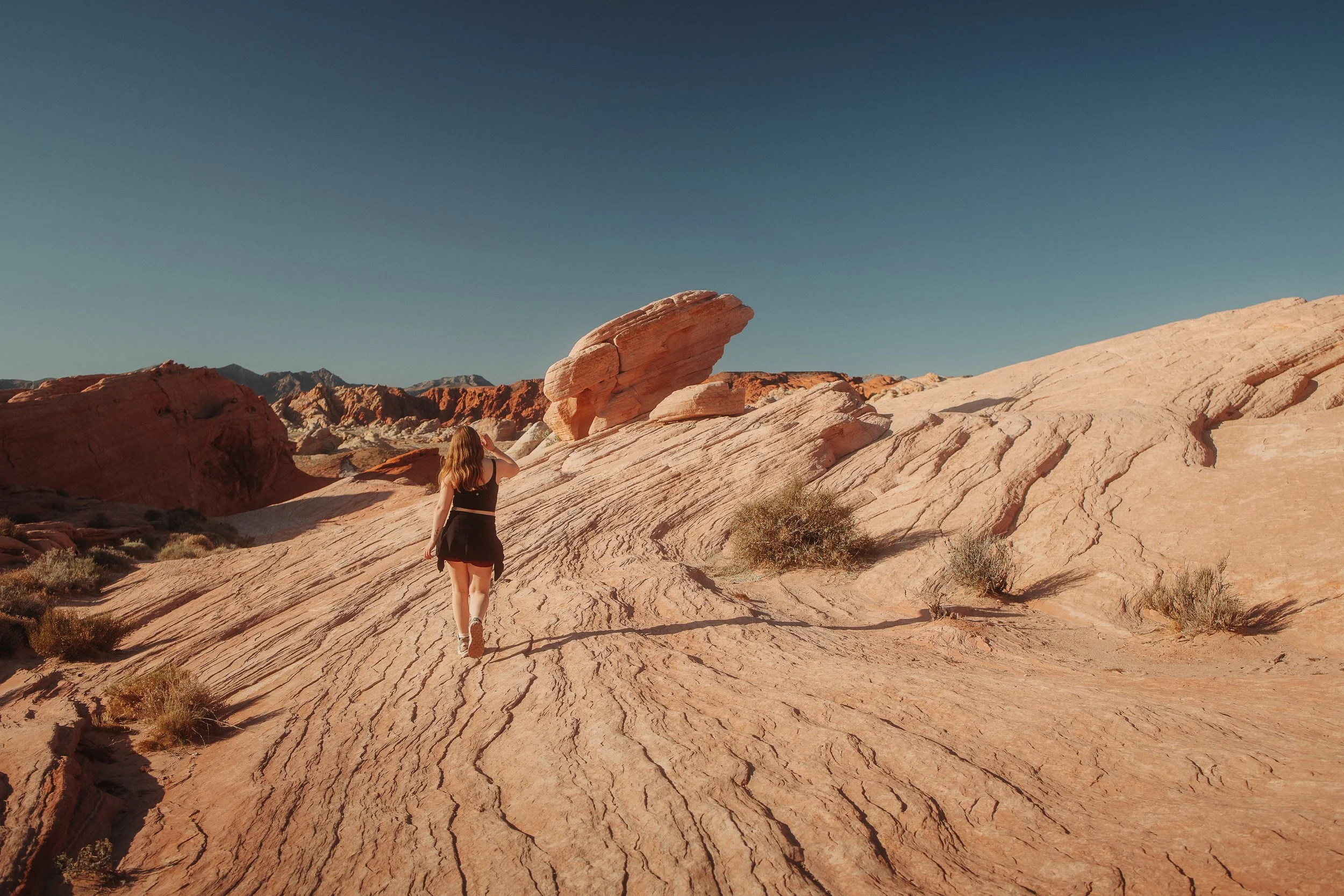 zion 5 star-49.jpg