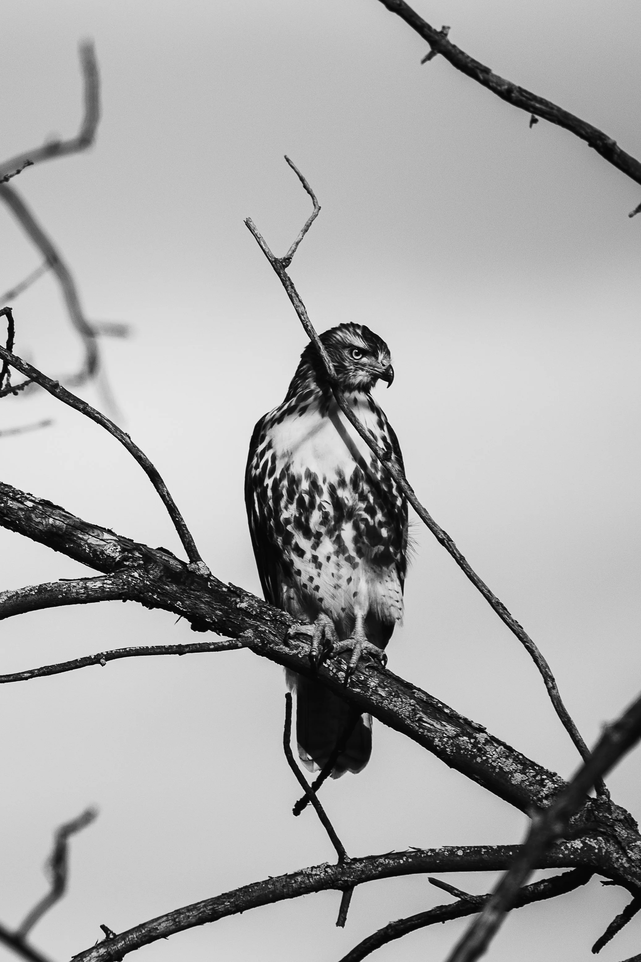 Copy of ventr sum 2023-029.jpg