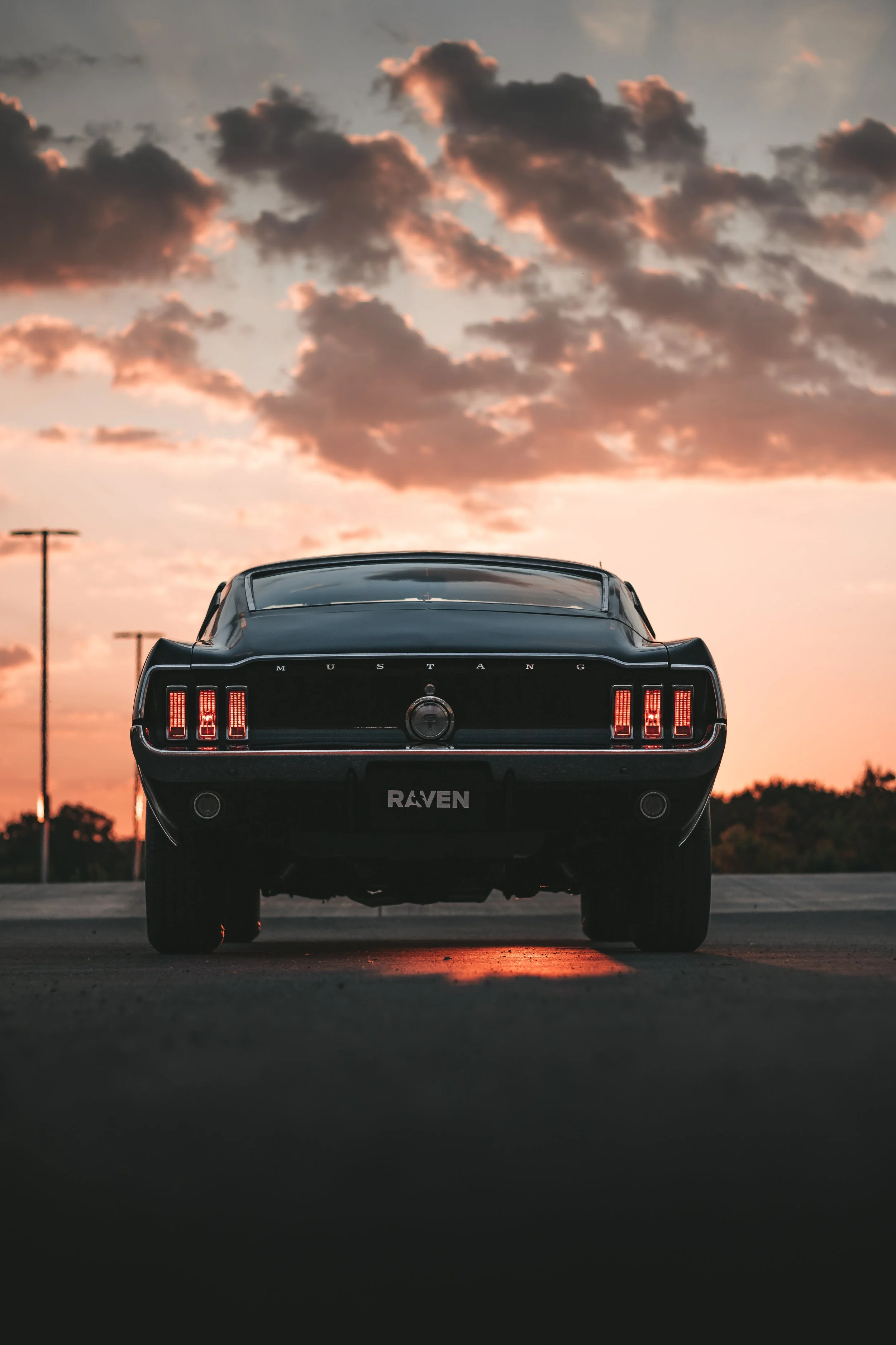 Copy of _MG_4785.jpg