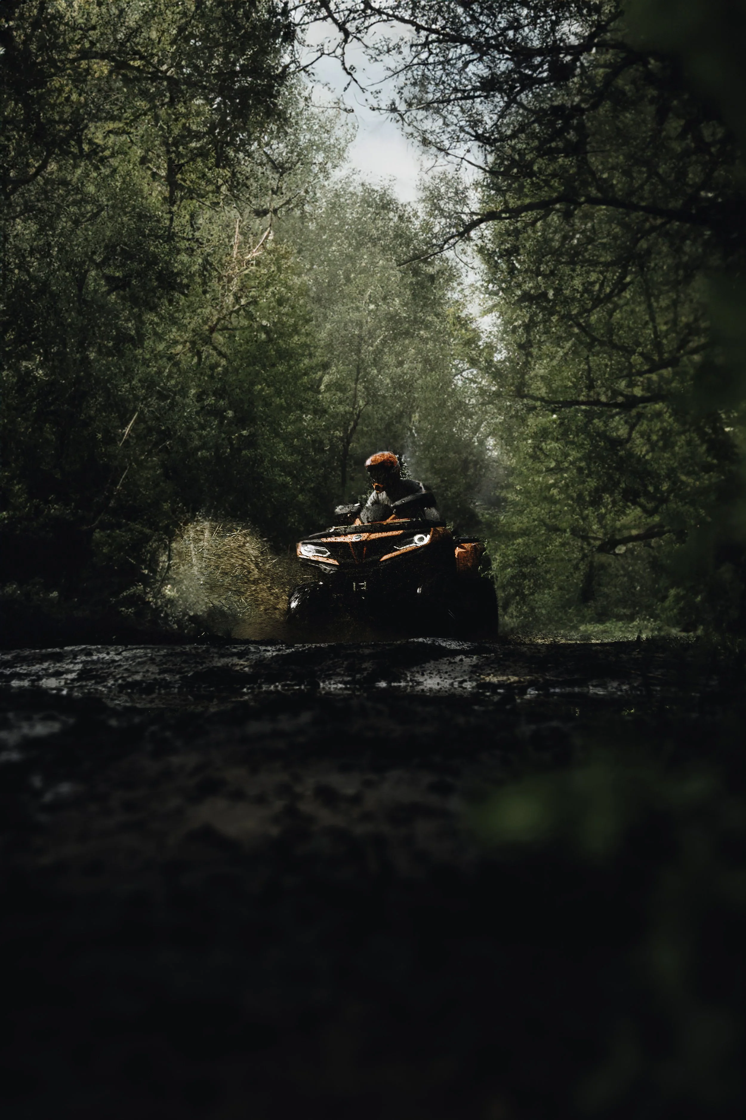 Copy of 4 wheels or 2 -17 copy.jpg