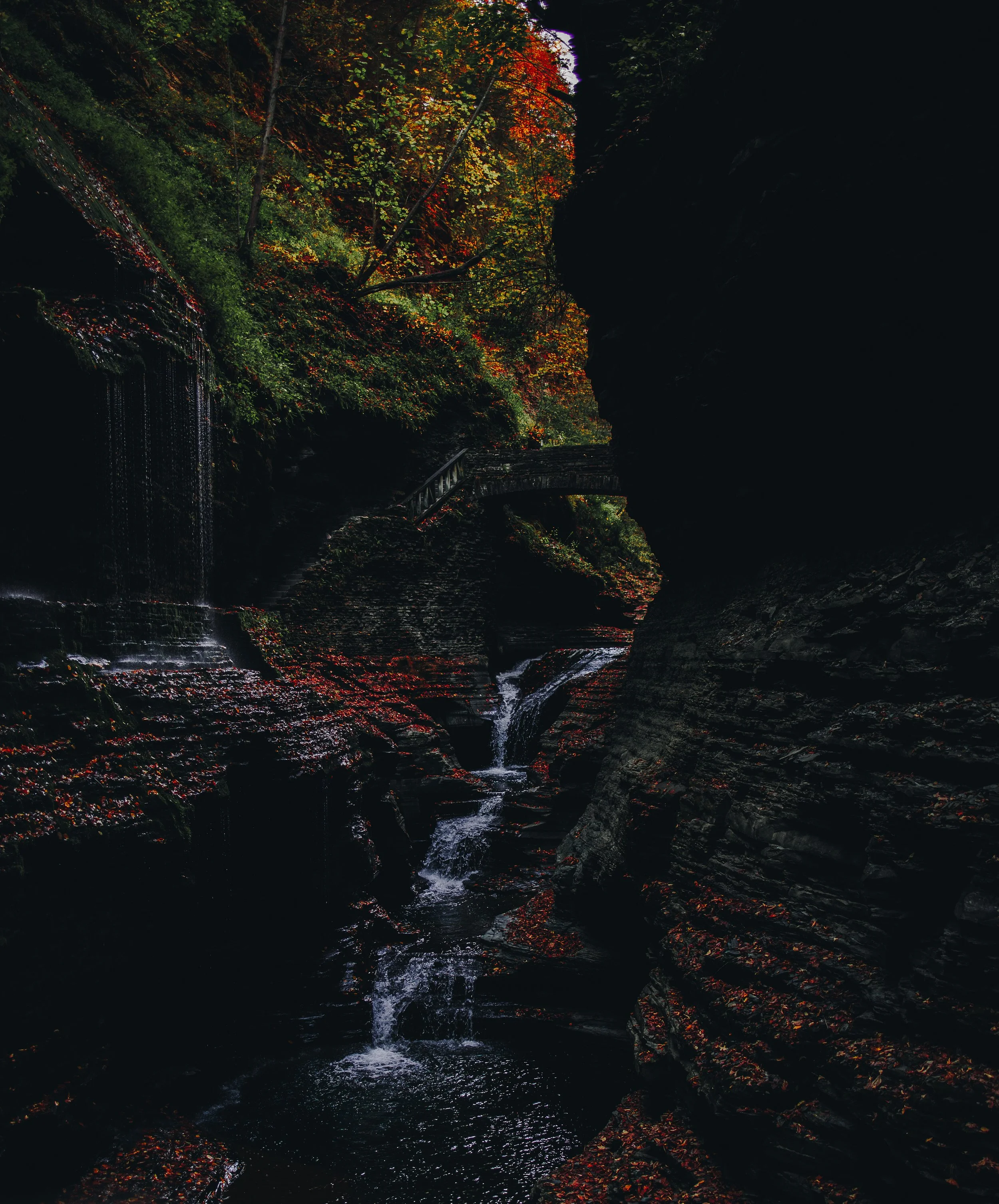 fall 2025 the glen-044.jpg