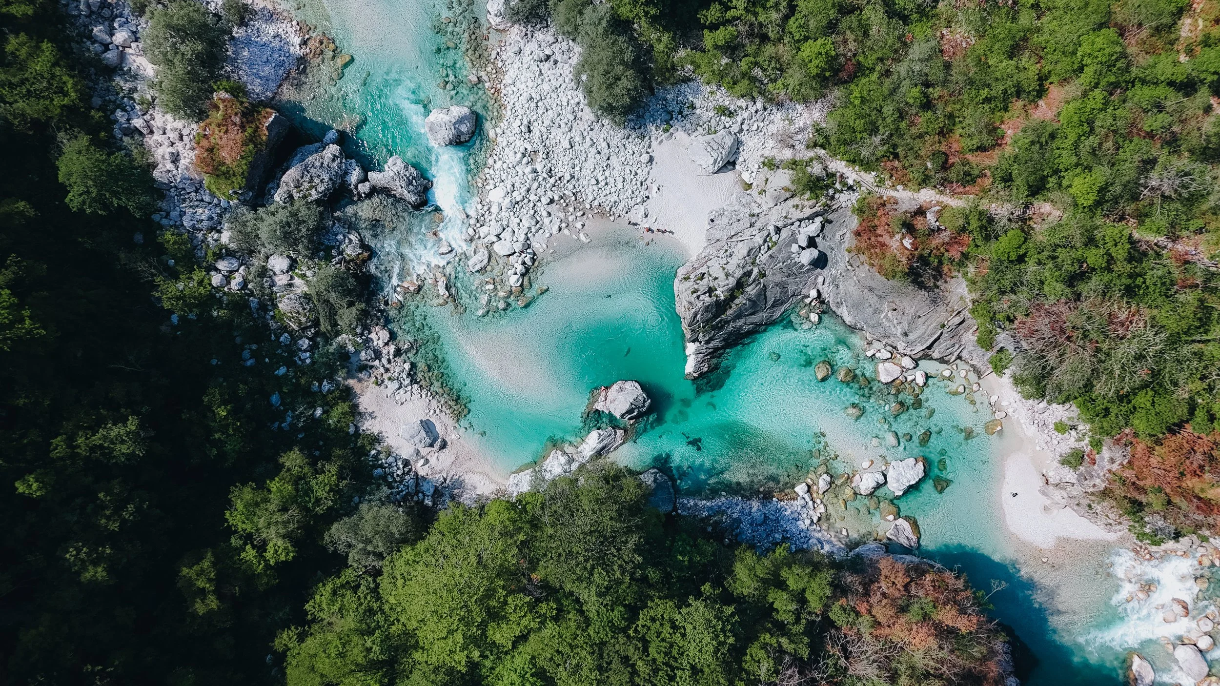 Copy of euro final-25.jpg