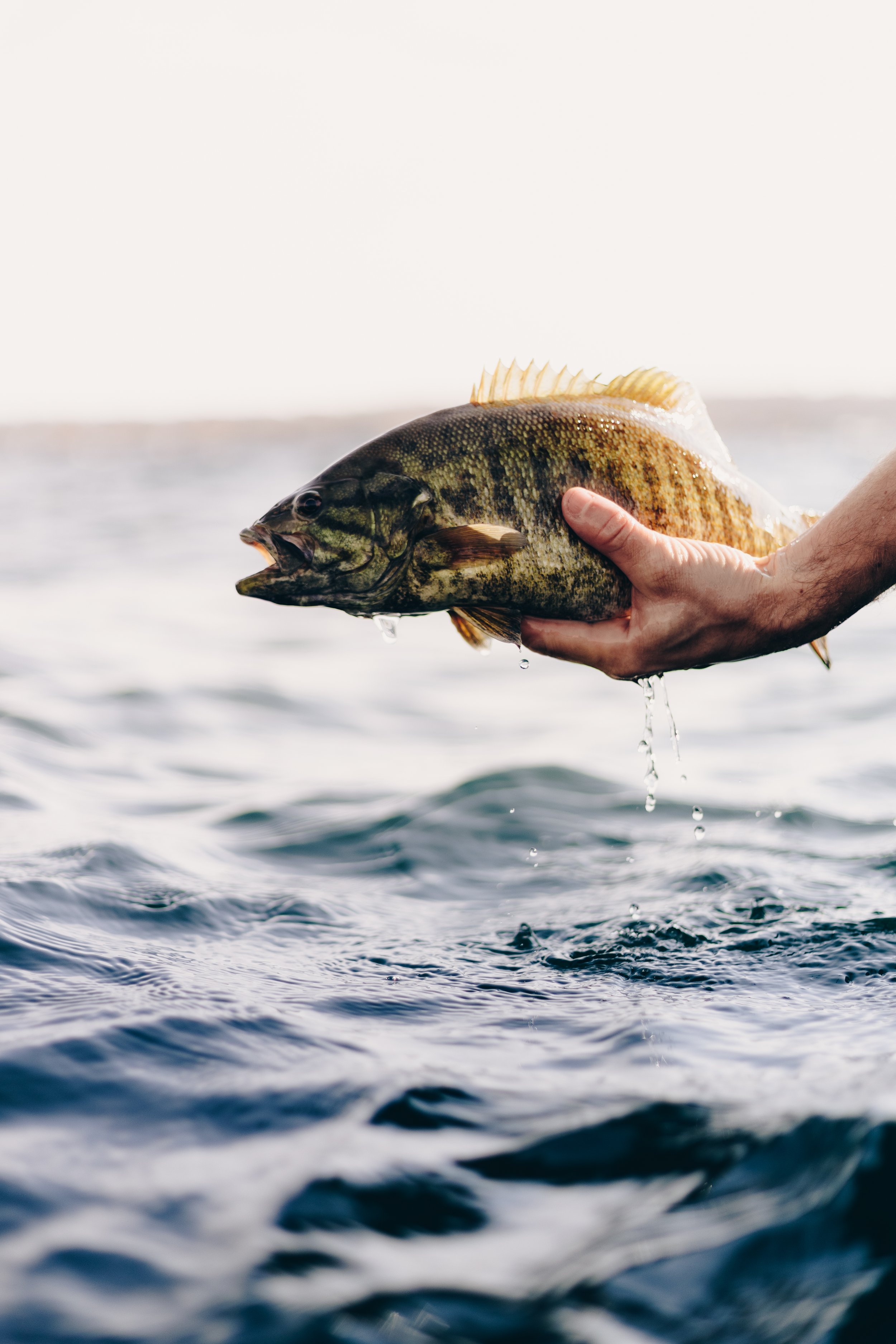 Copy of recast -42.jpg