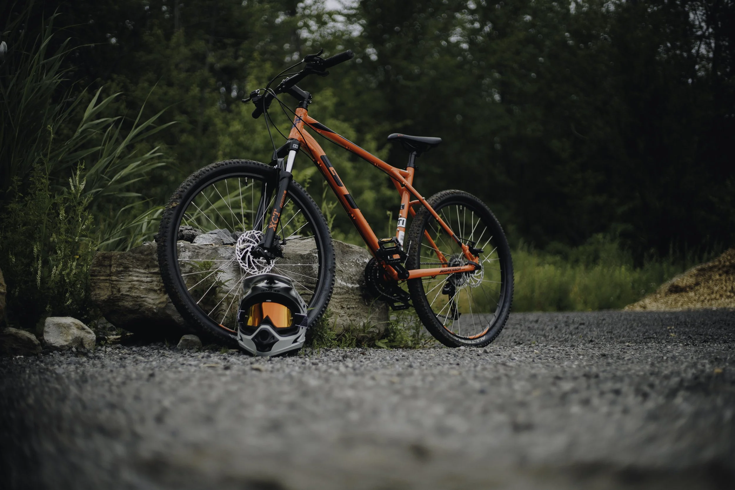 Copy of bird and bike-04.jpg